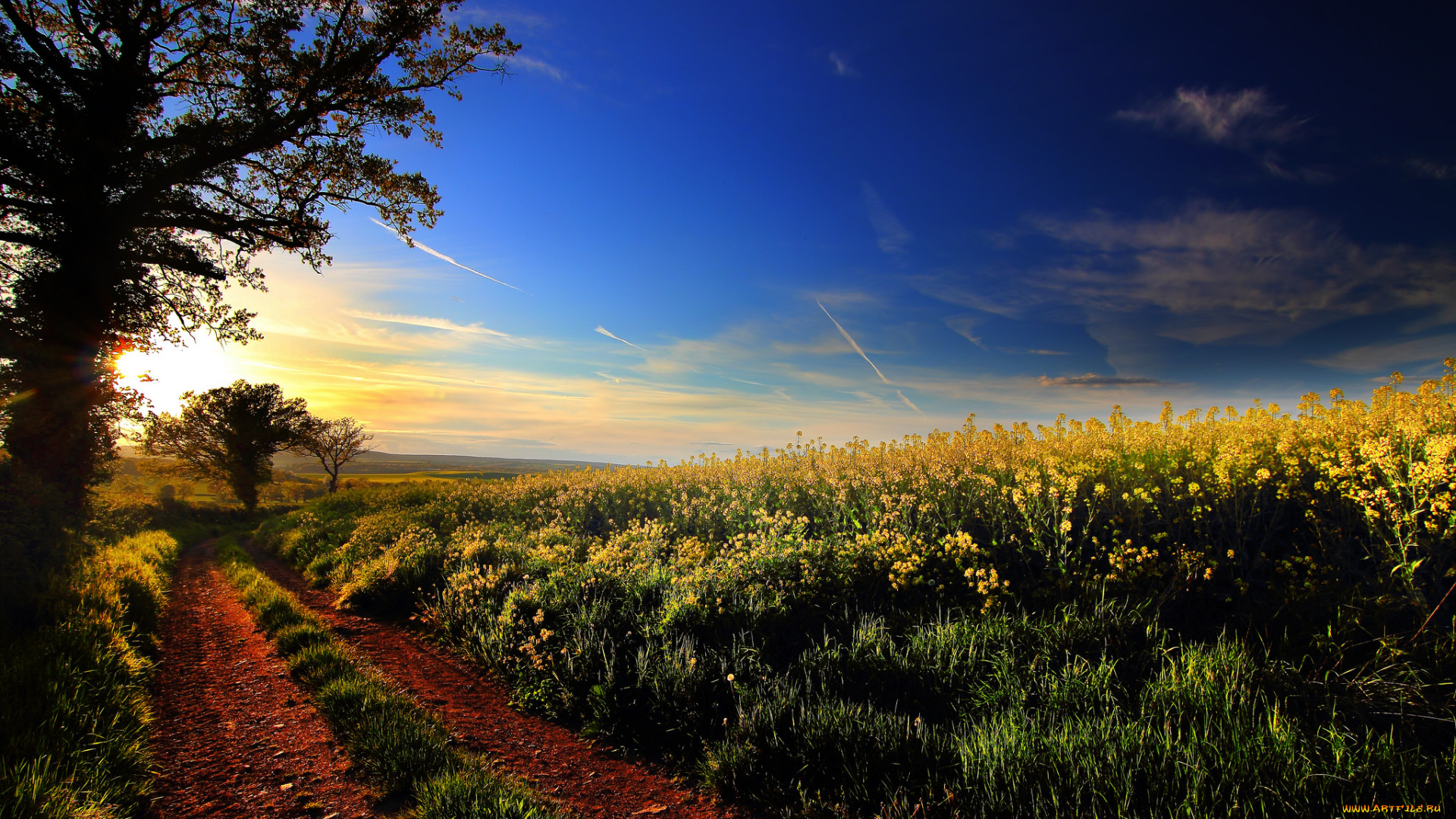 природа, дороги, тракт