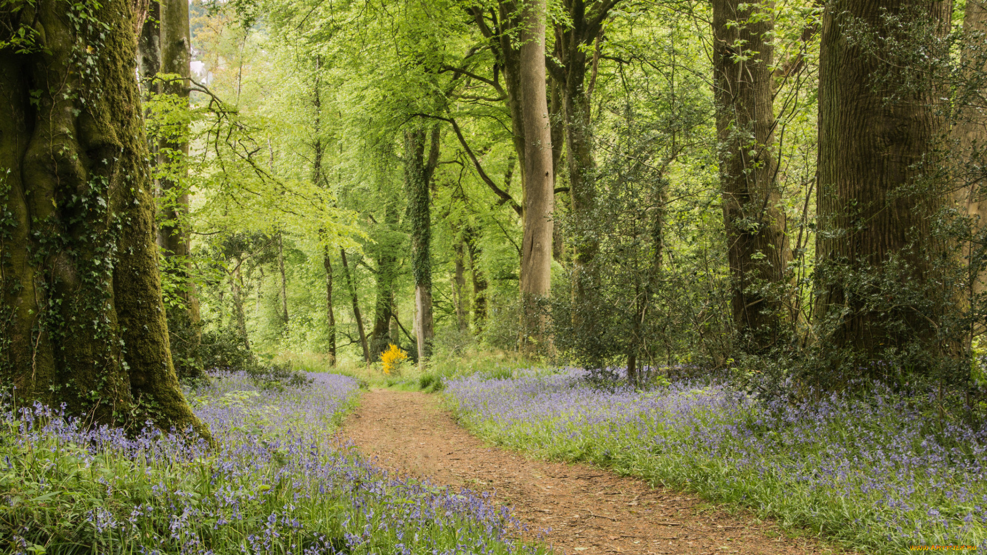 природа, дороги, тракт