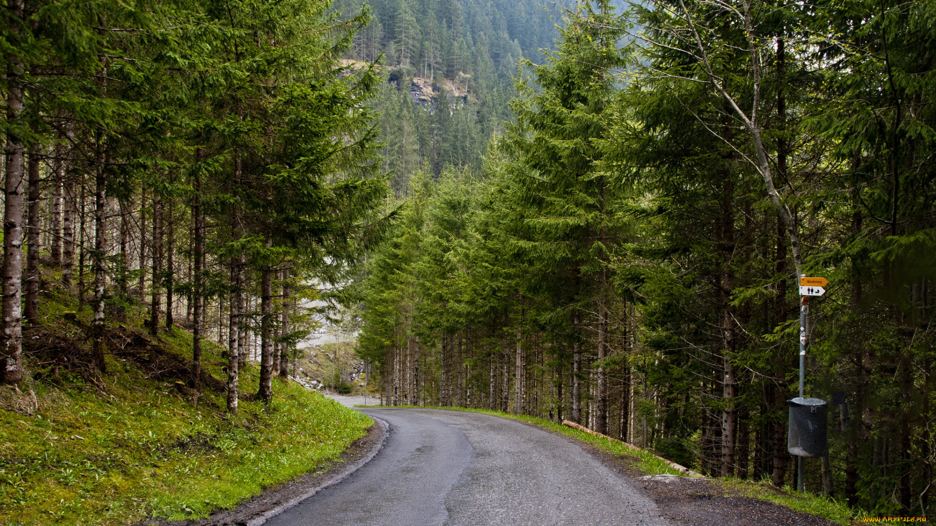 природа, дороги, тракт