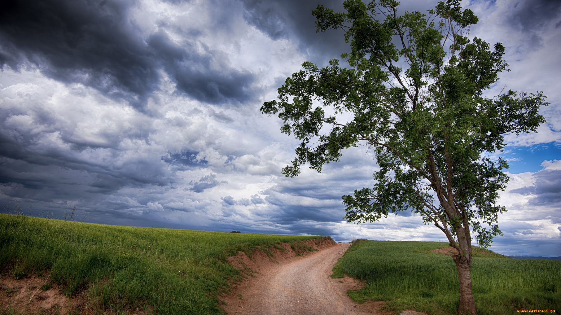 природа, дороги, тракт