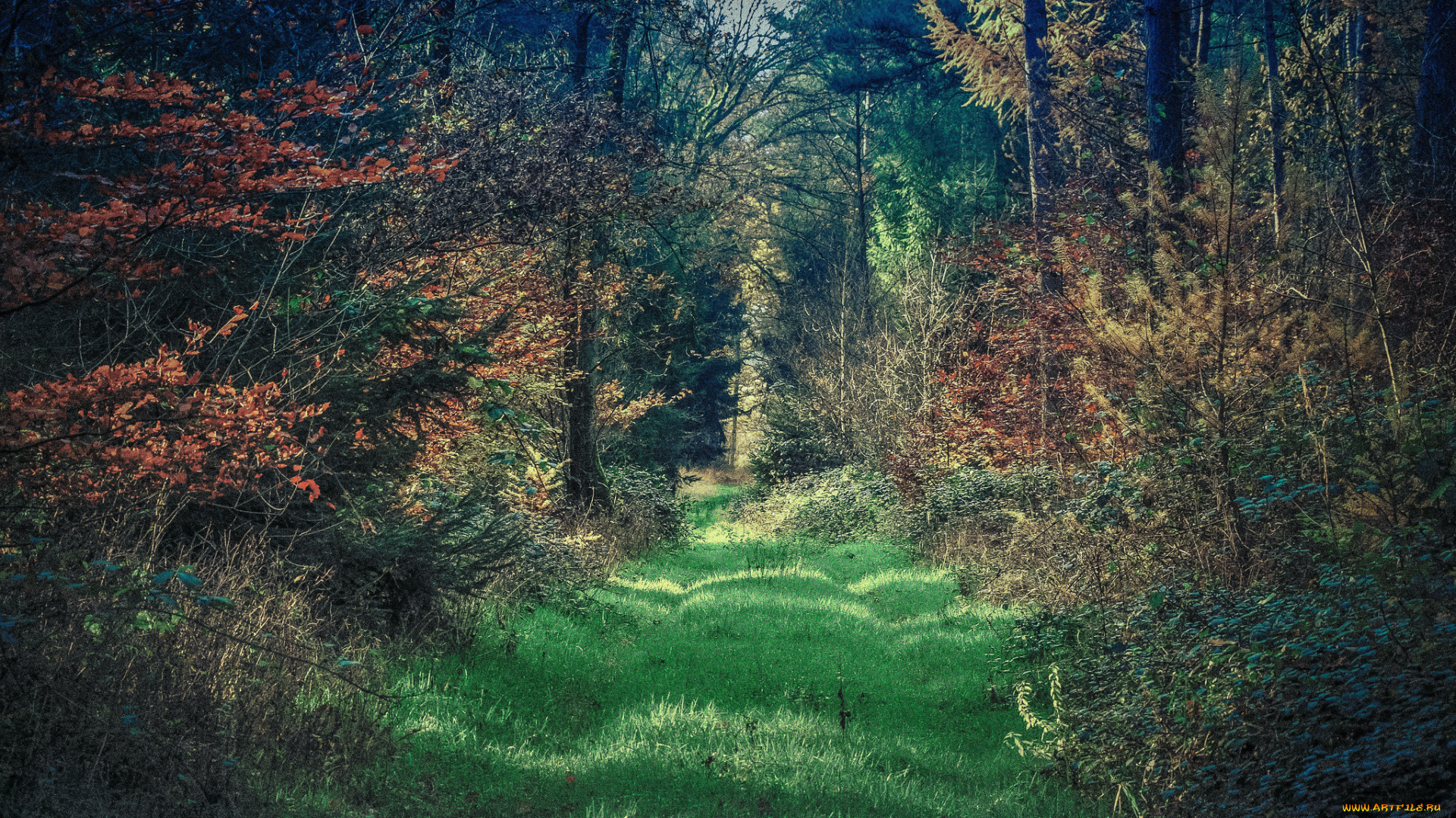 природа, дороги, тракт