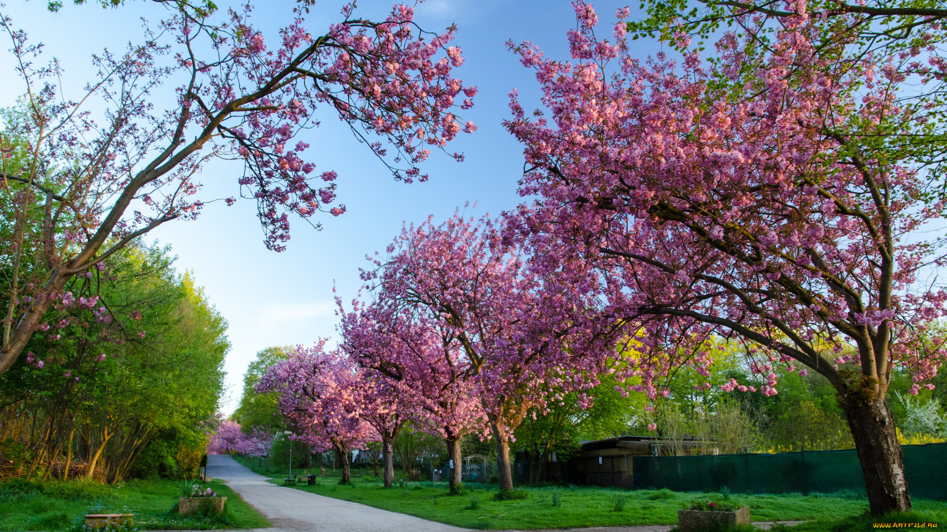 природа, дороги, тракт