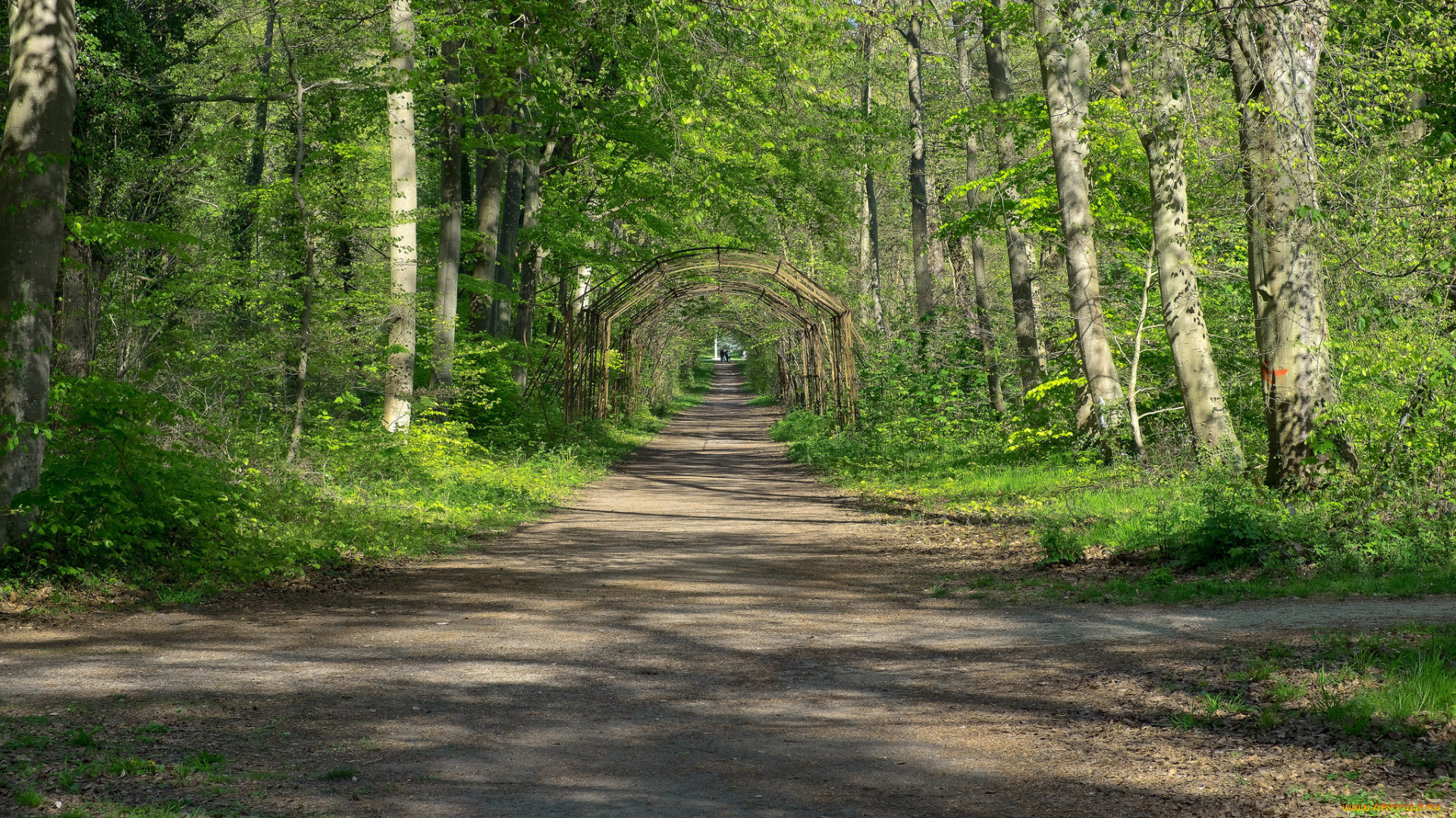 природа, дороги, тракт