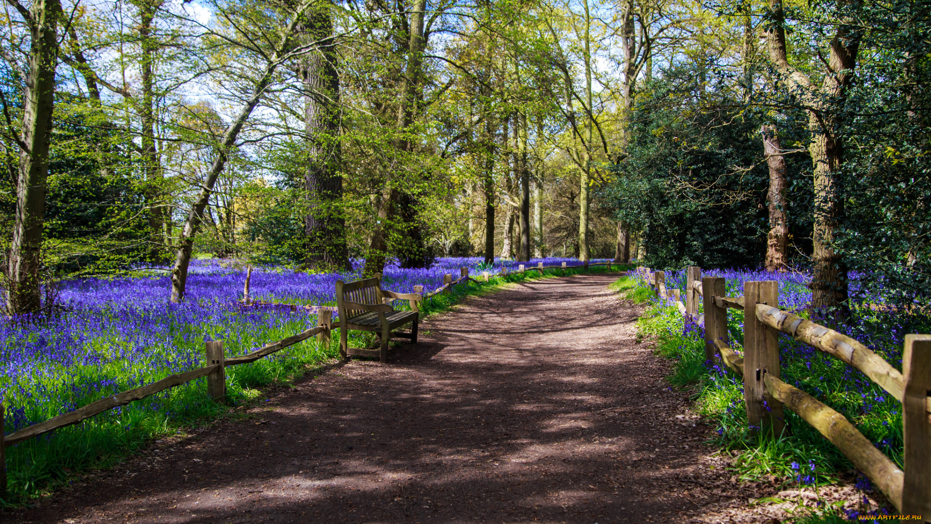 природа, дороги, тракт