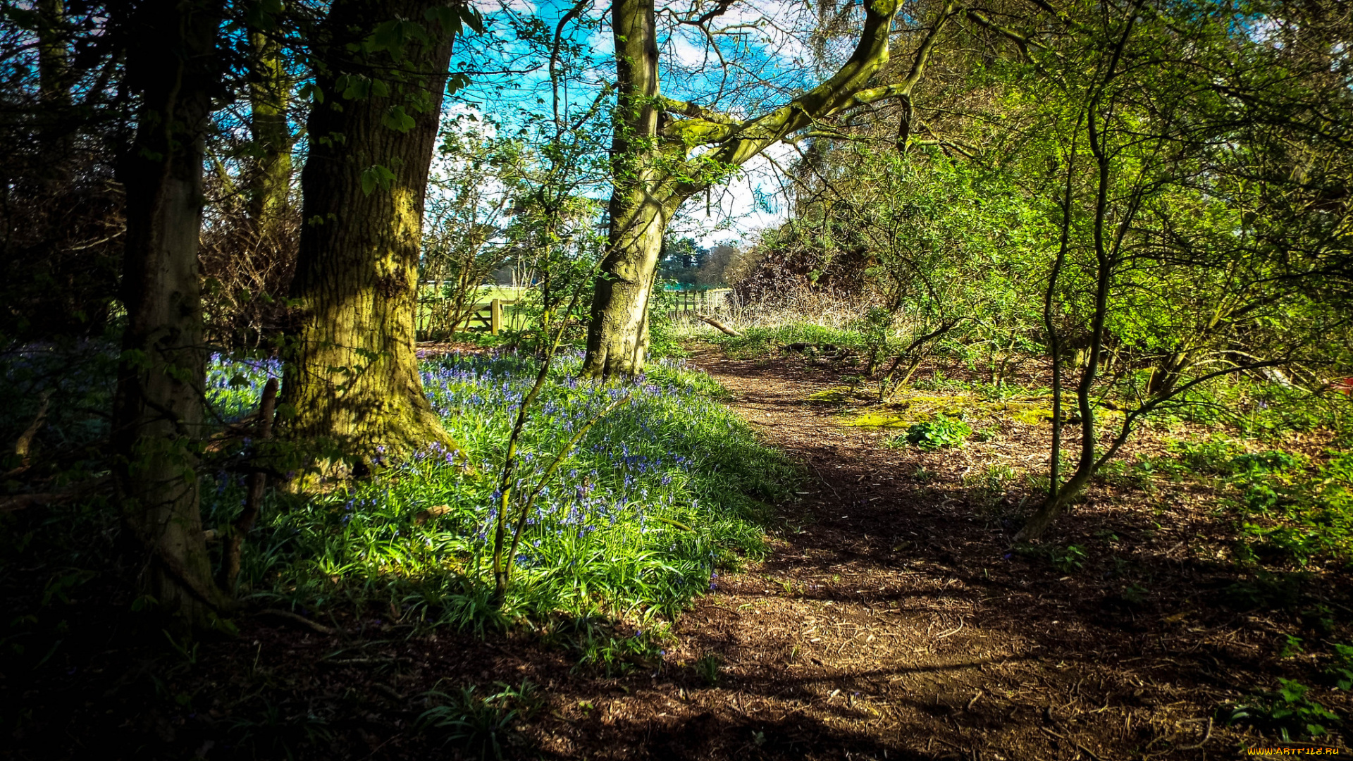 природа, дороги, тракт