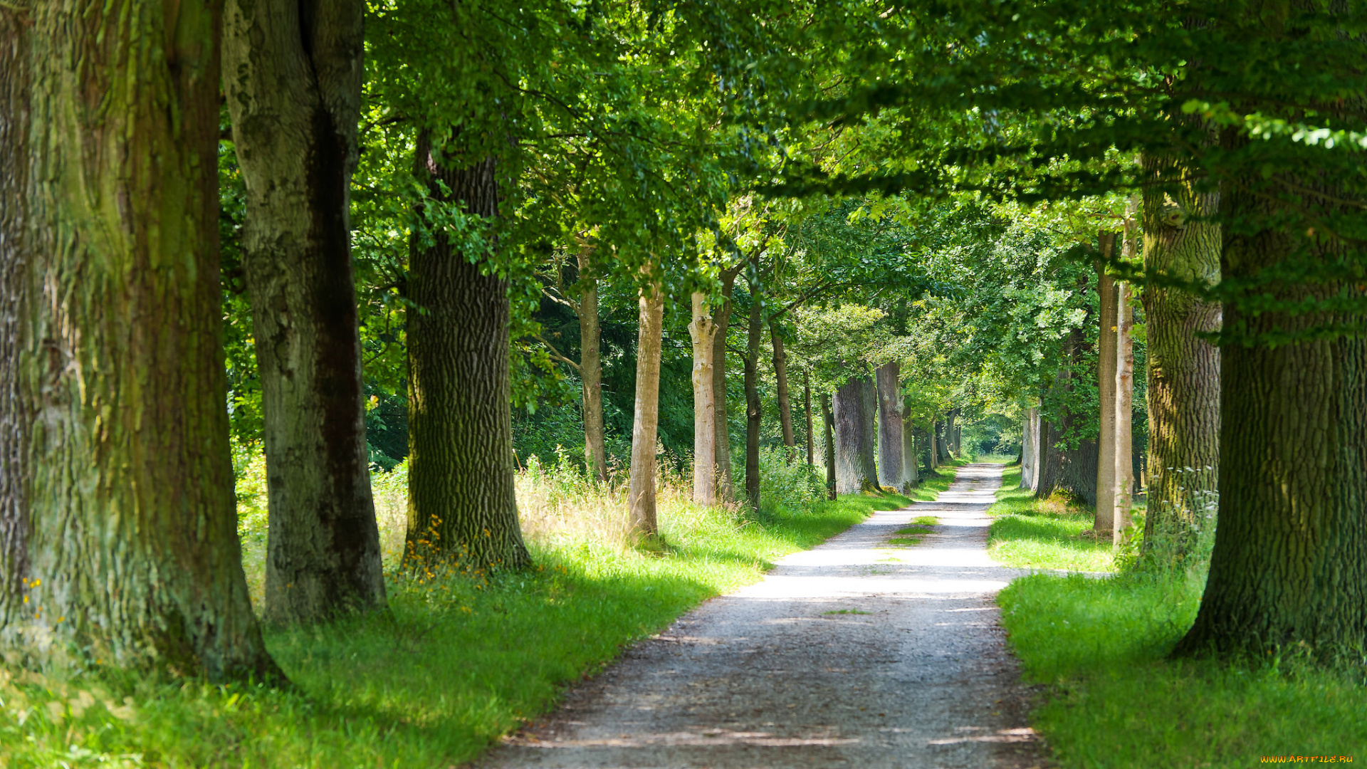 природа, дороги, тракт