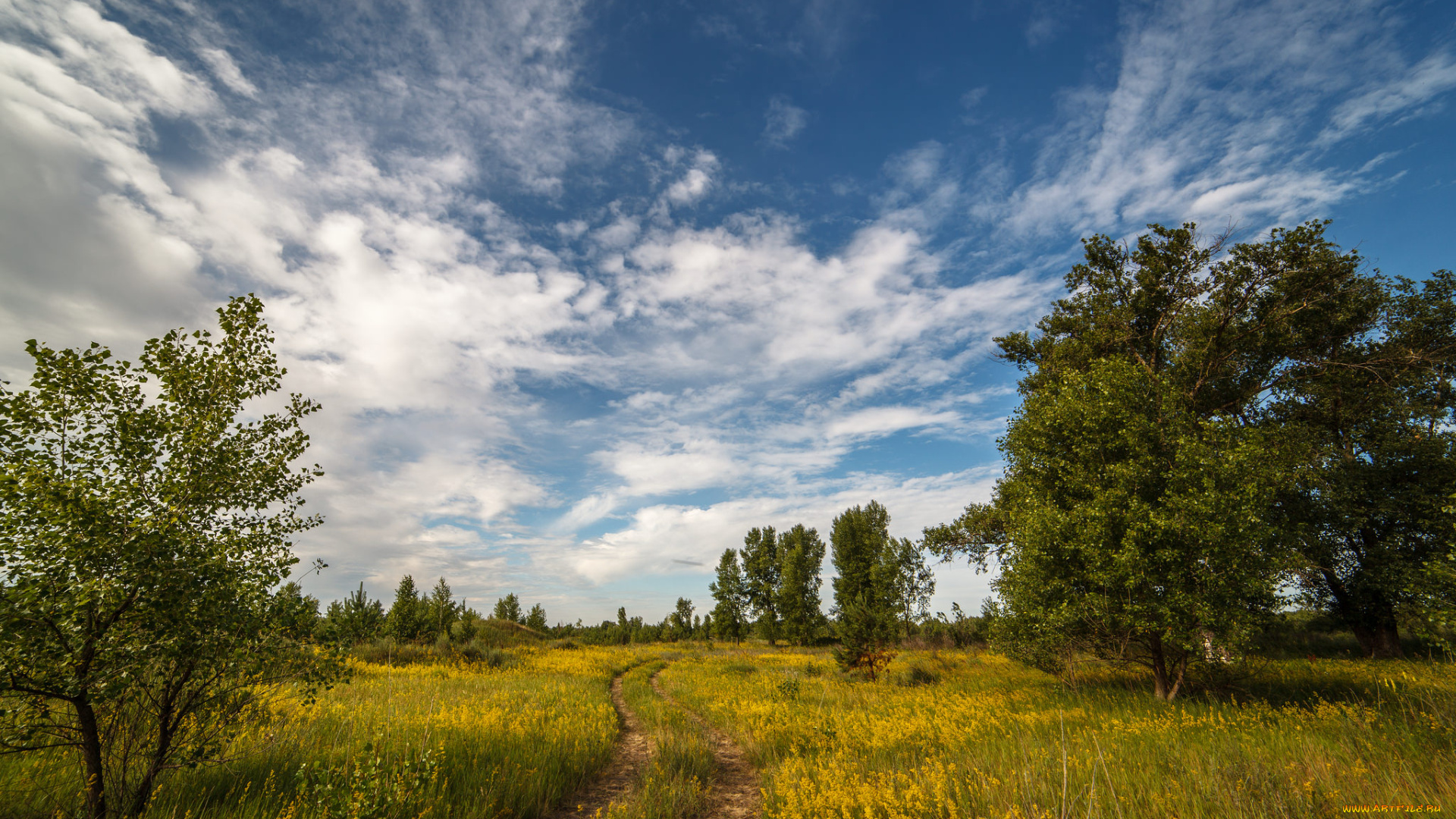 природа, дороги, тракт