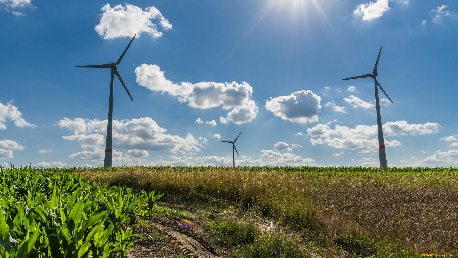 природа, дороги, тракт