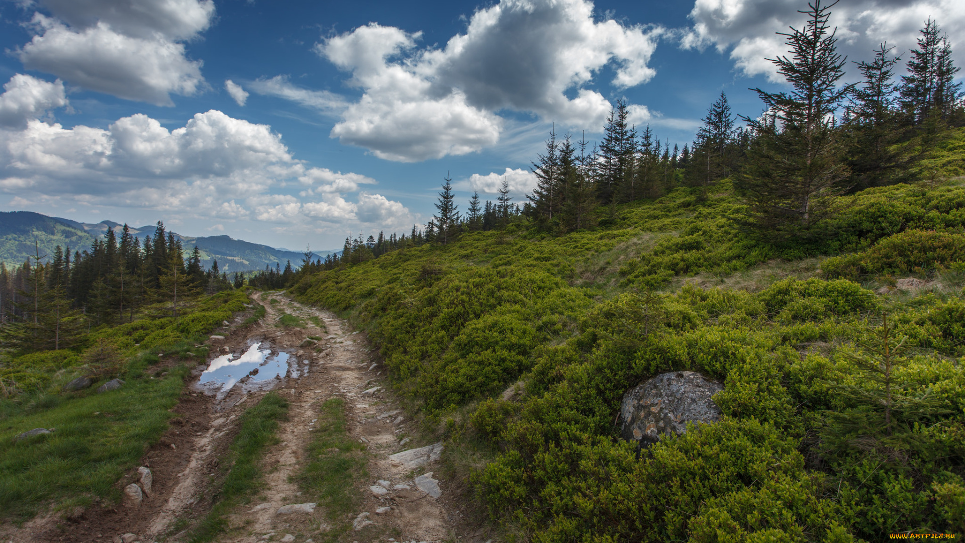 природа, дороги, тракт