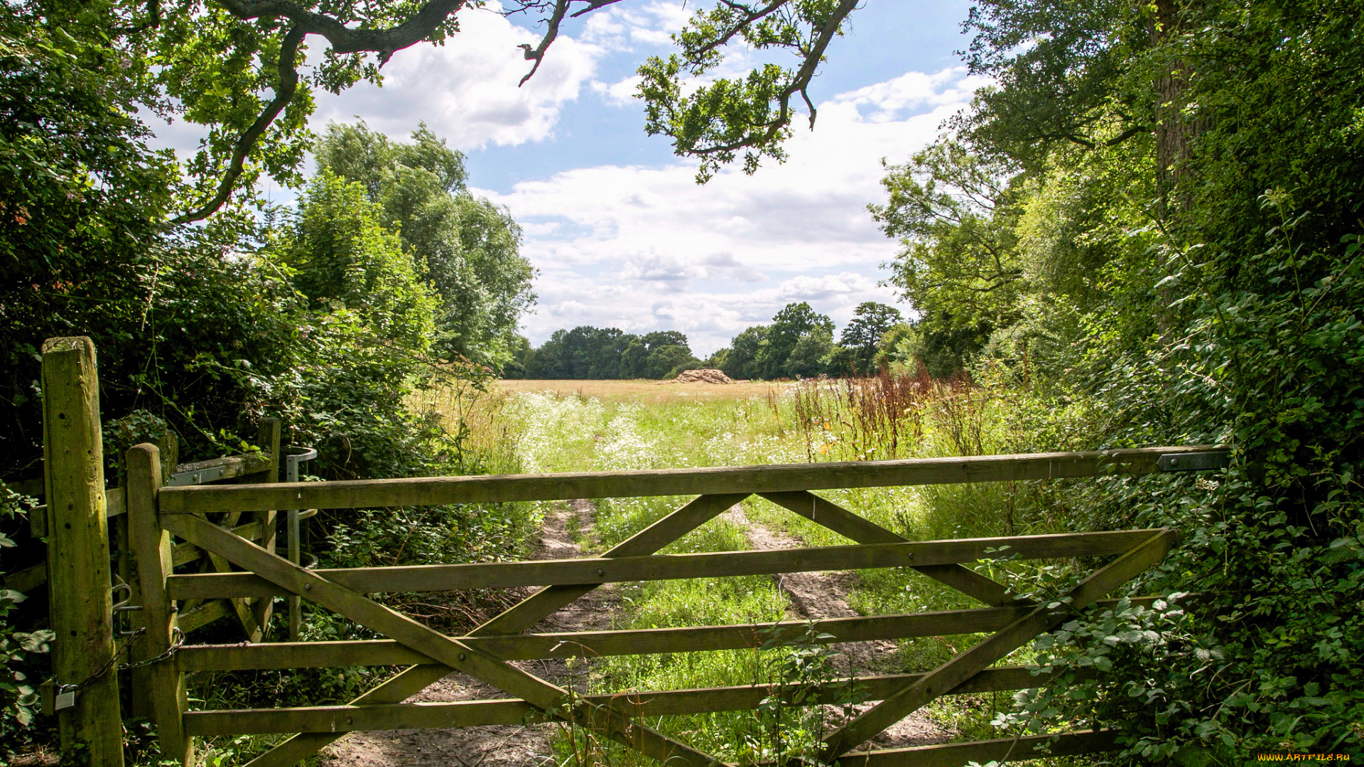 природа, дороги, тракт