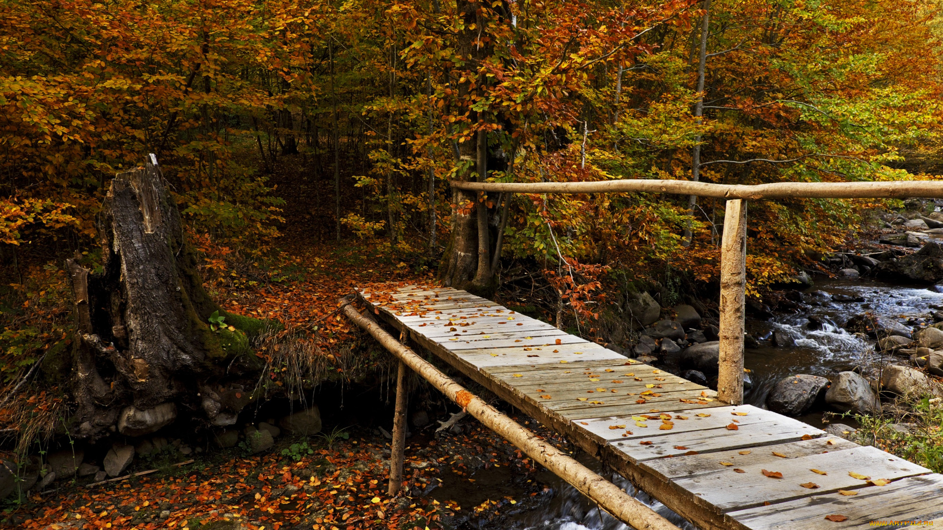 природа, дороги, тракт