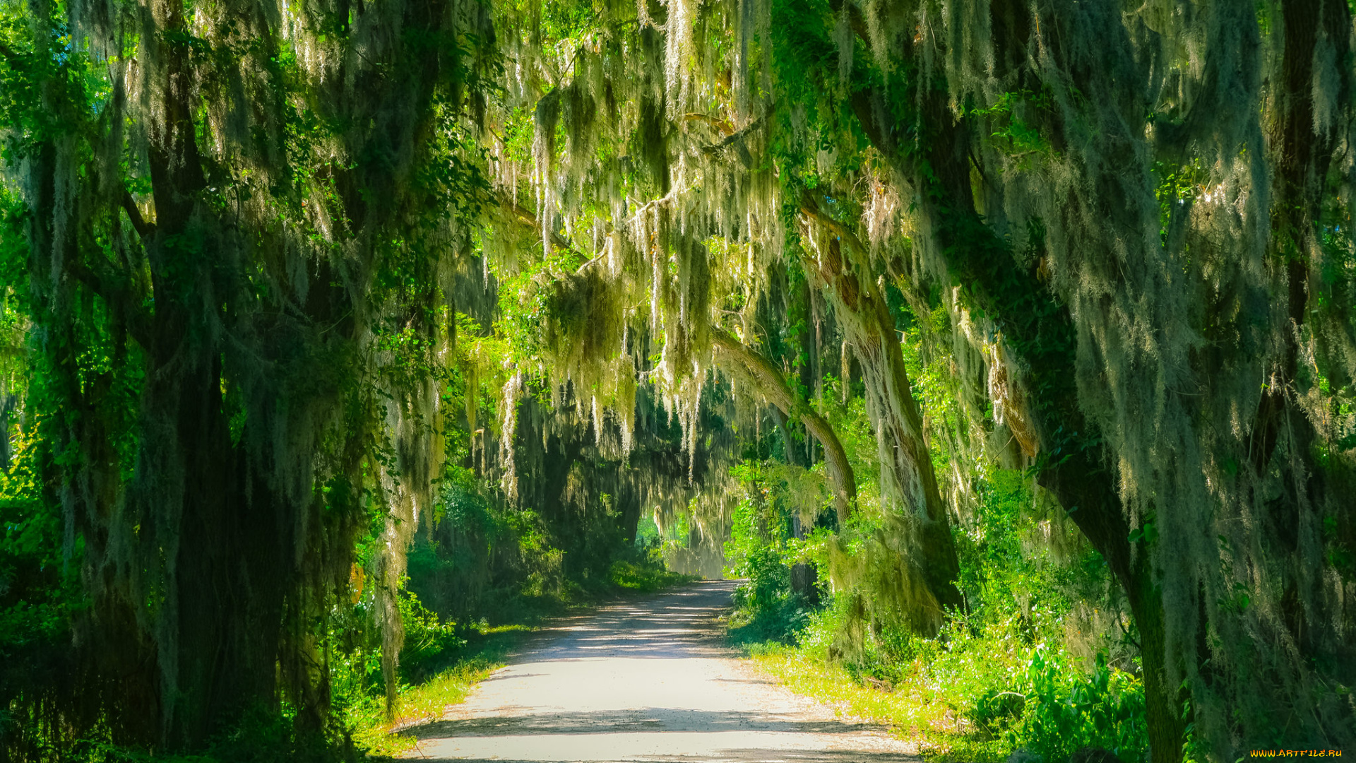 природа, дороги, тракт