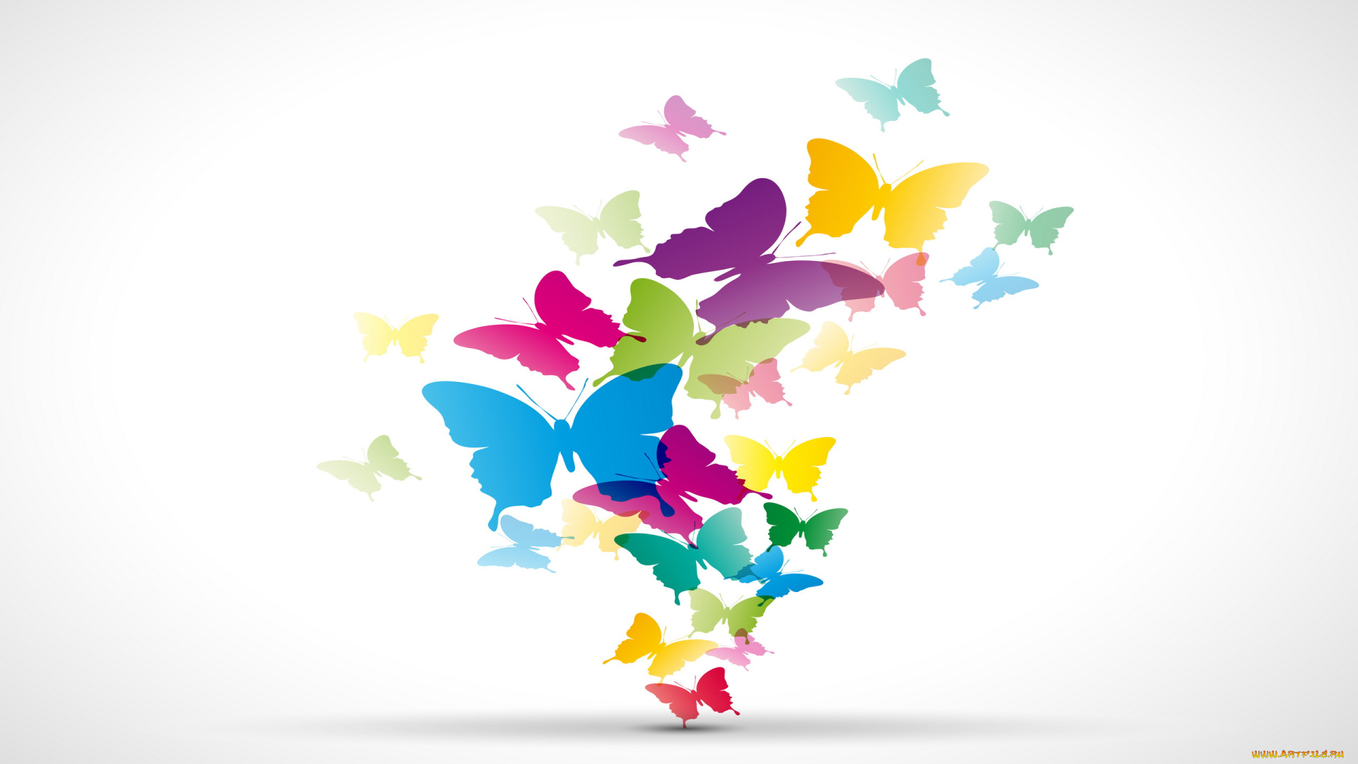 векторная, графика, животные, , animals, бабочки, фон