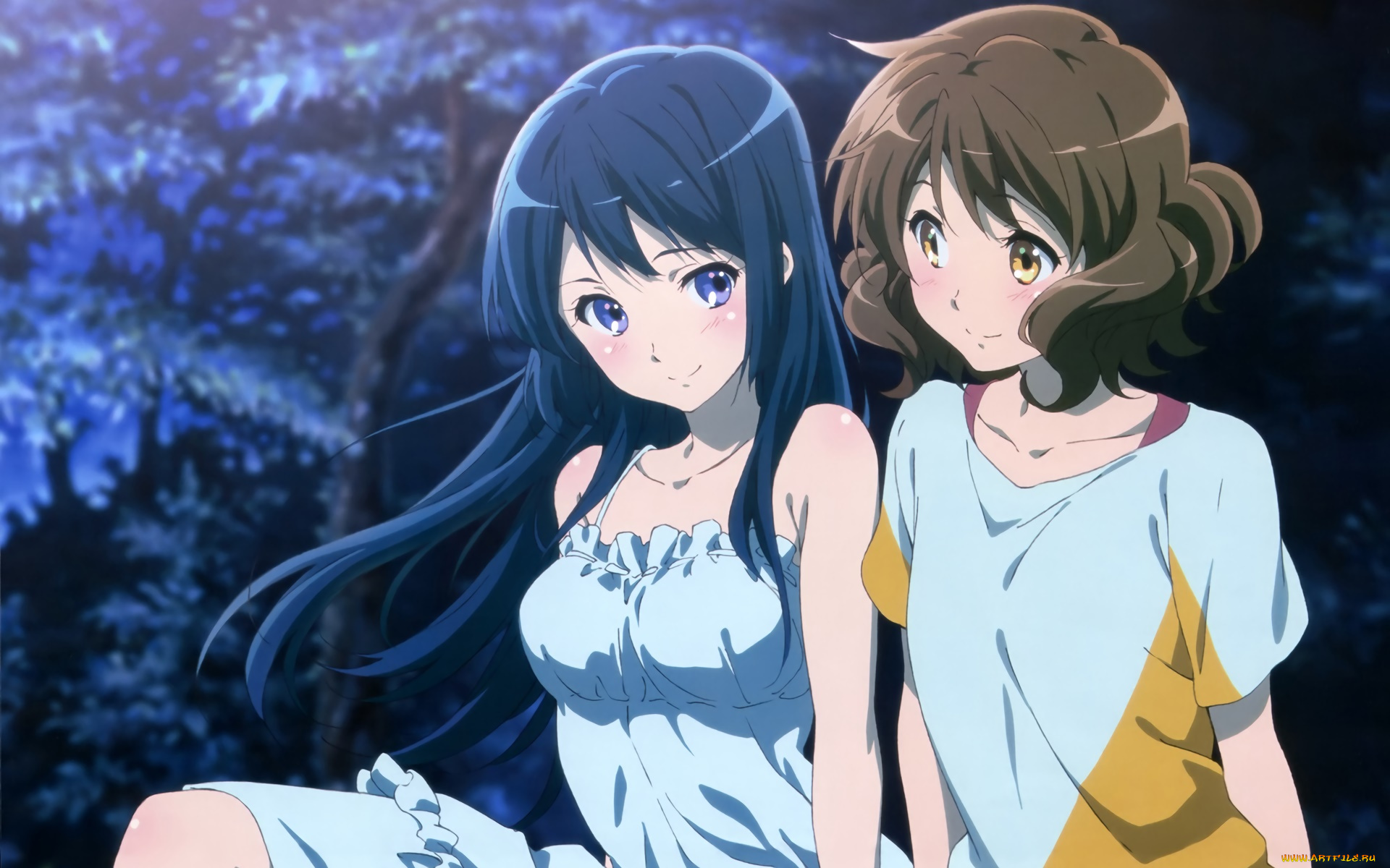 аниме, sound, horizon, фон, взгляд, девушки