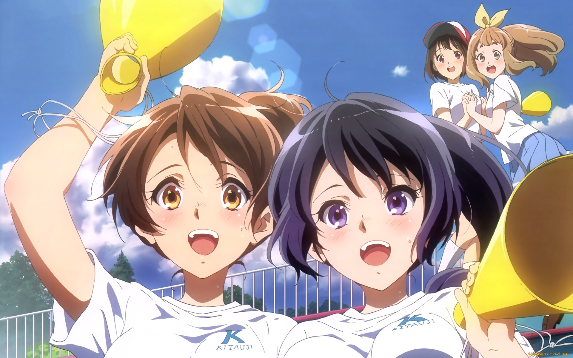 аниме, sound, horizon, фон, взгляд, девушки