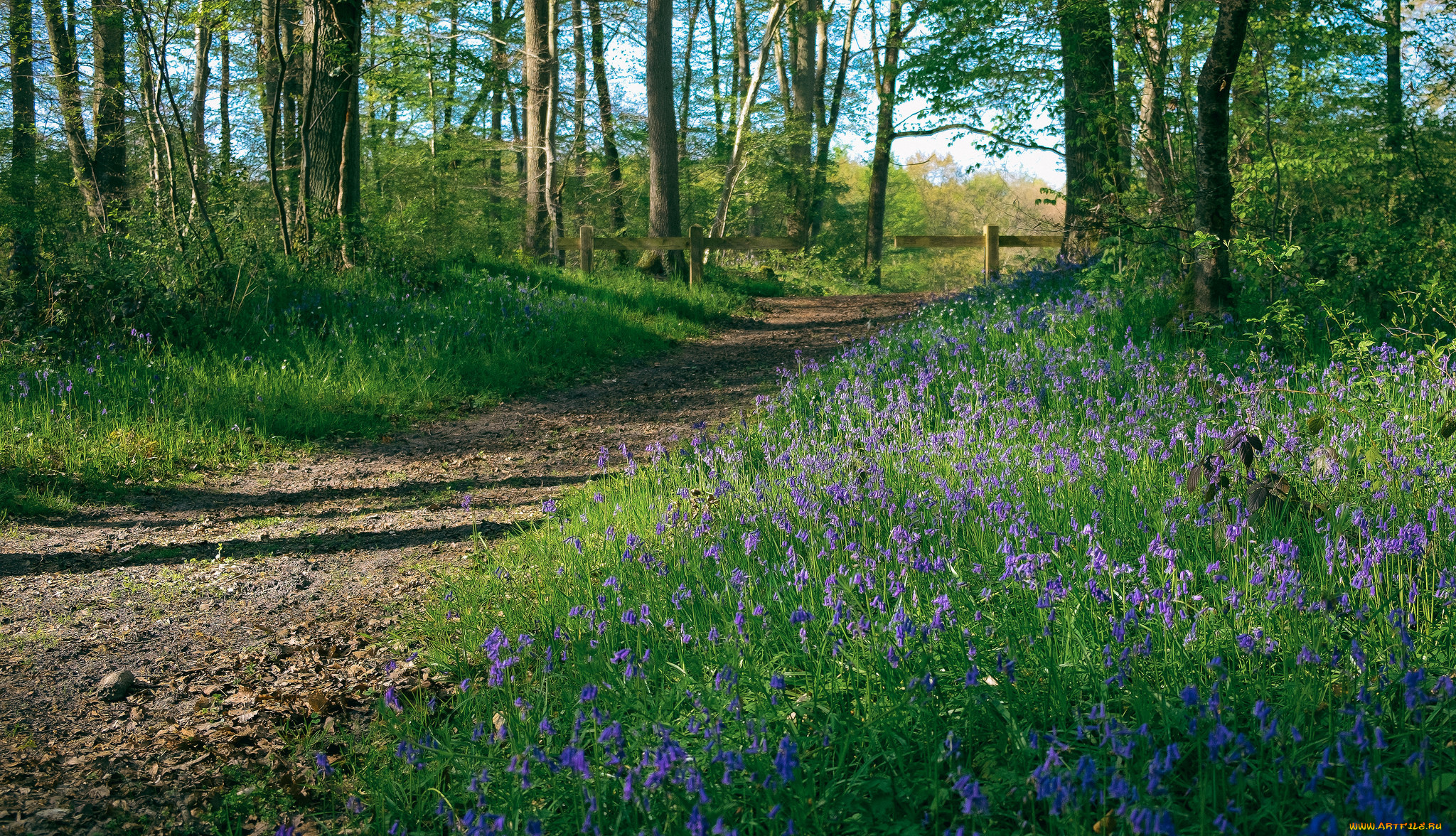 природа, дороги, тракт