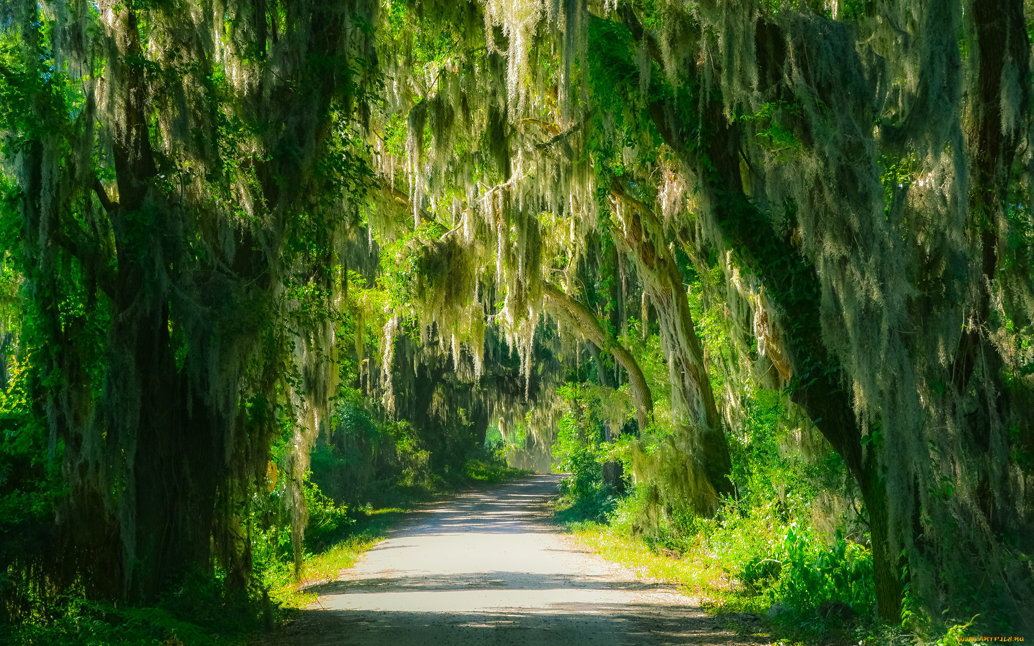 природа, дороги, тракт