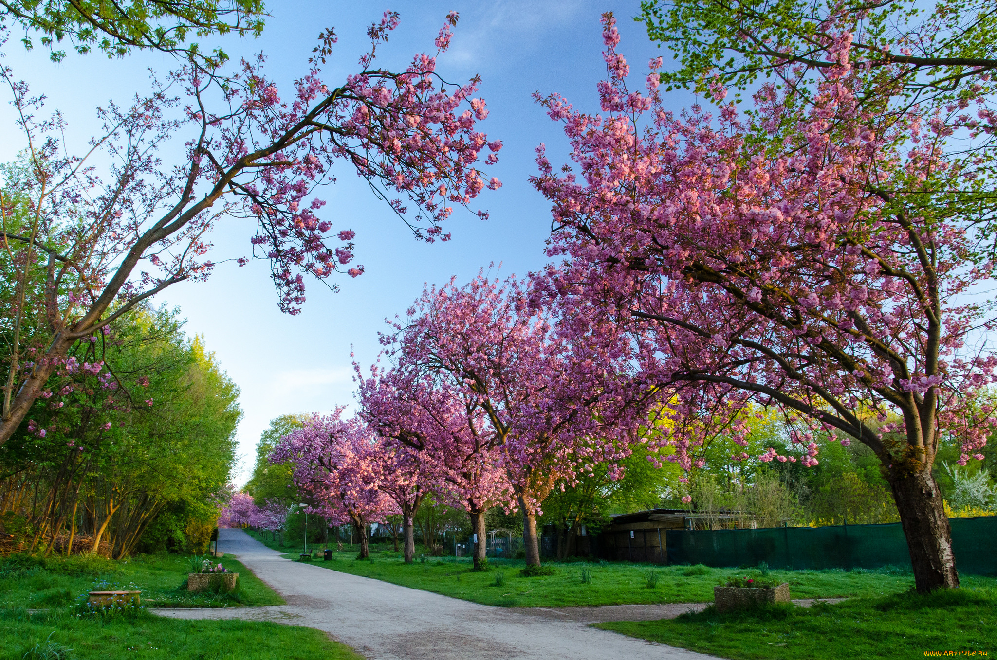 природа, дороги, тракт