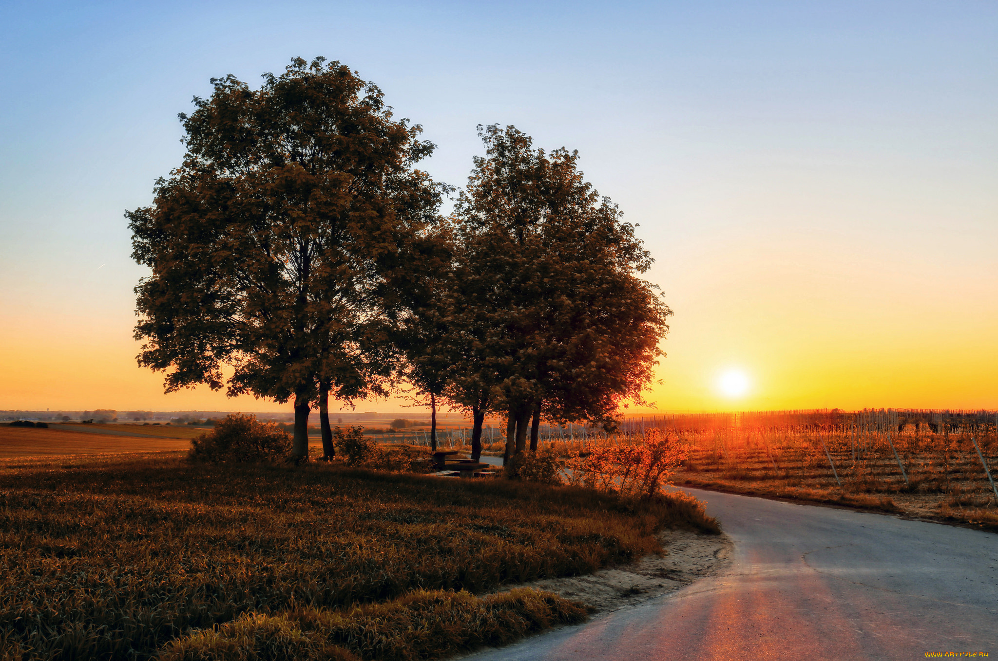 природа, дороги, тракт