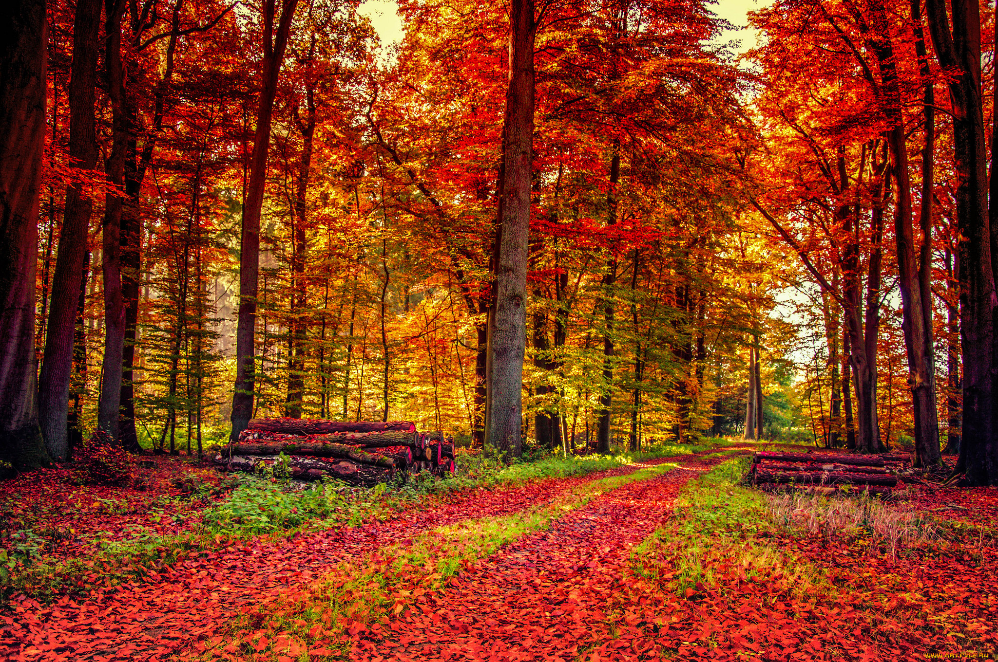 природа, дороги, тракт