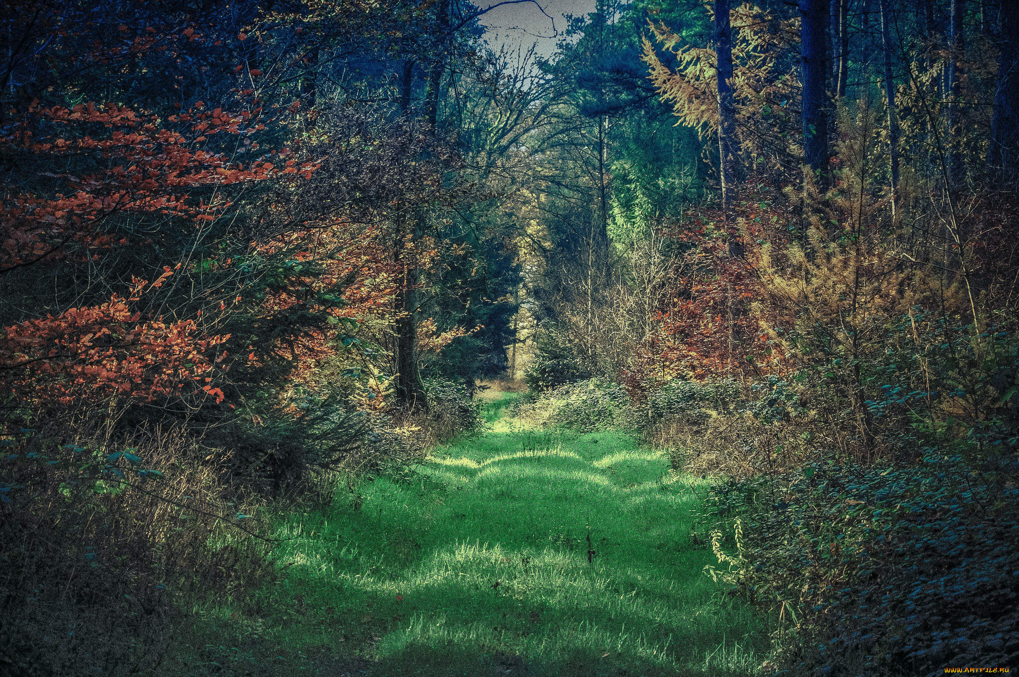 природа, дороги, тракт