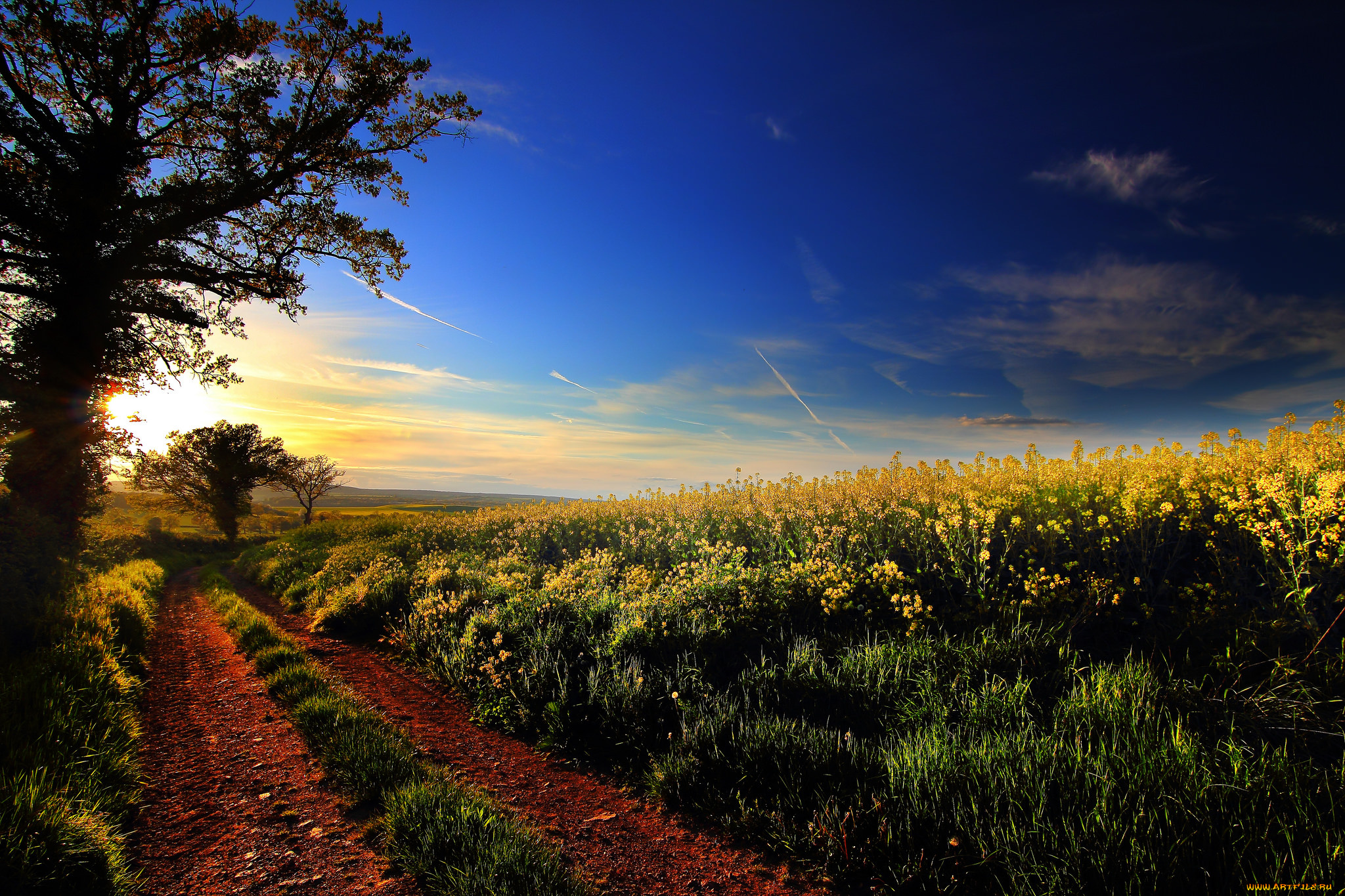 природа, дороги, тракт