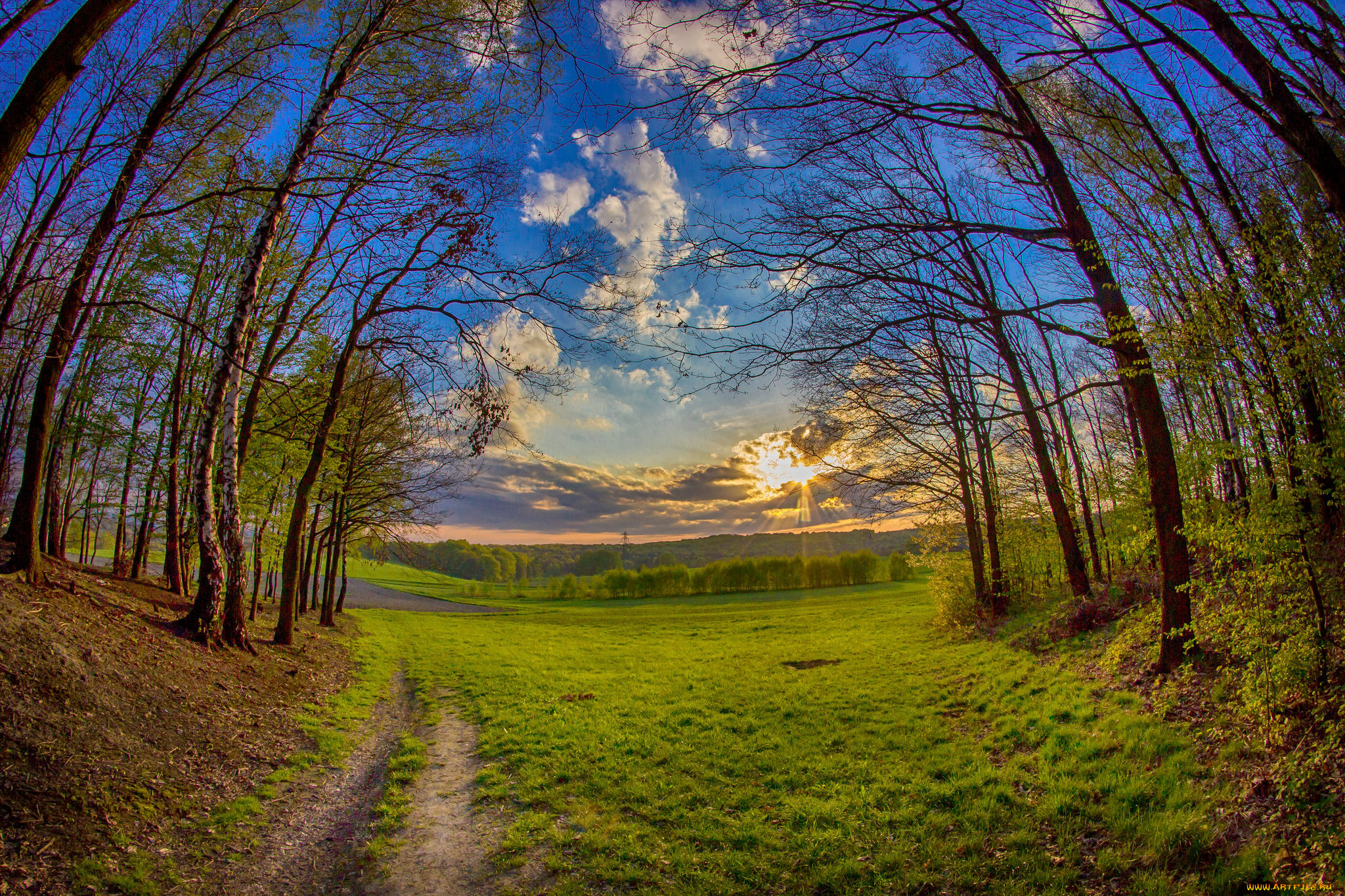 природа, дороги, тракт