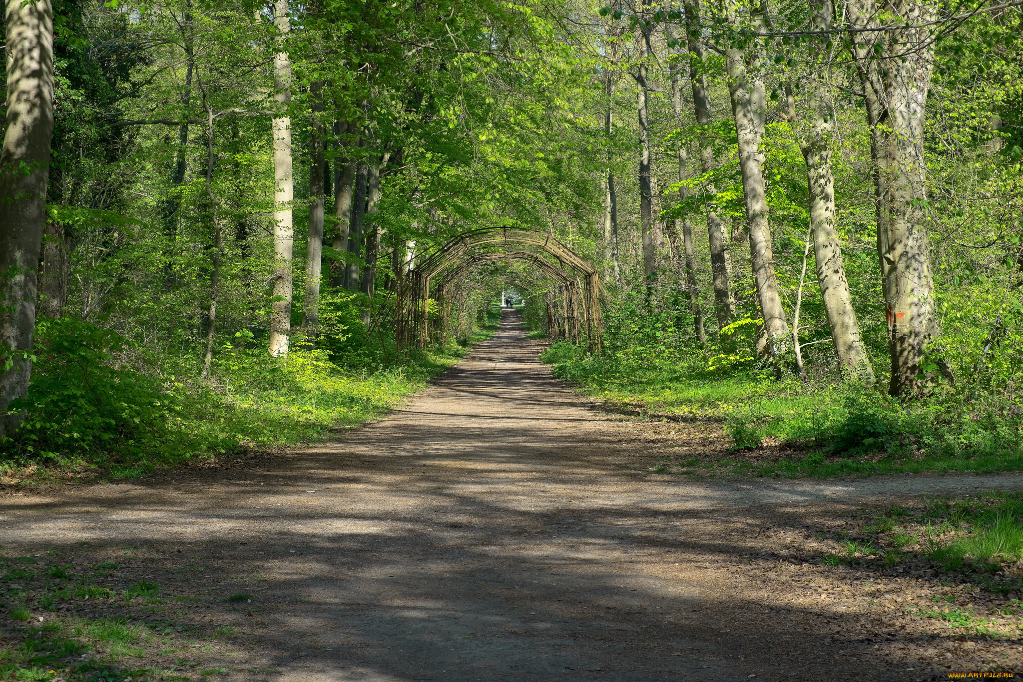 природа, дороги, тракт