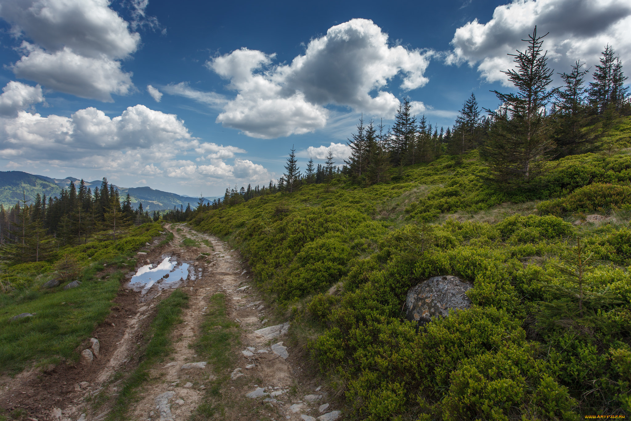 природа, дороги, тракт