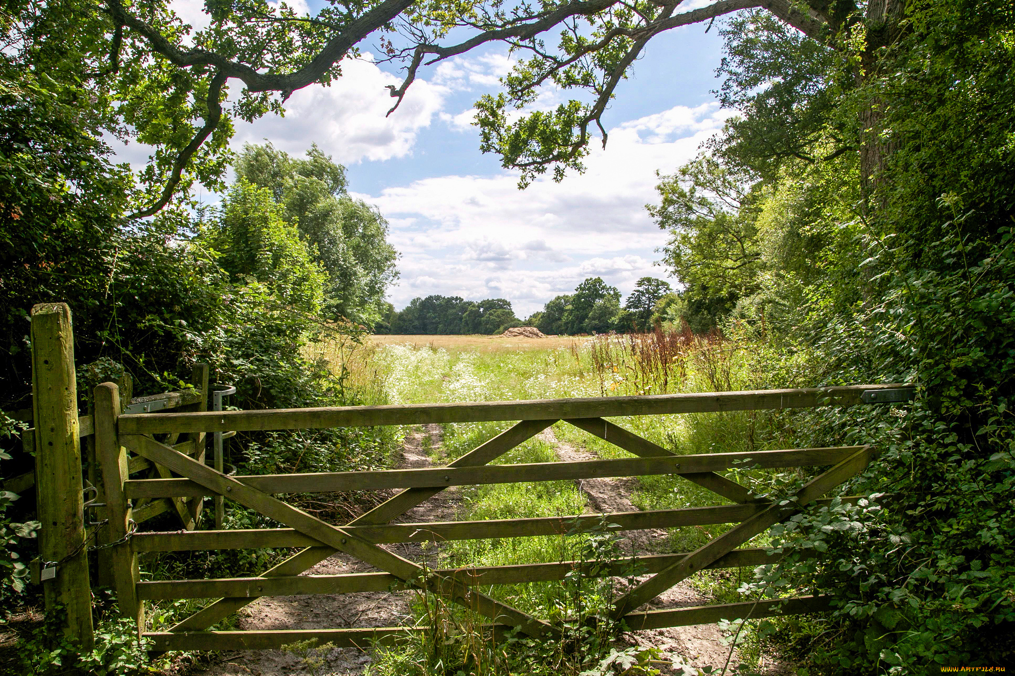 природа, дороги, тракт