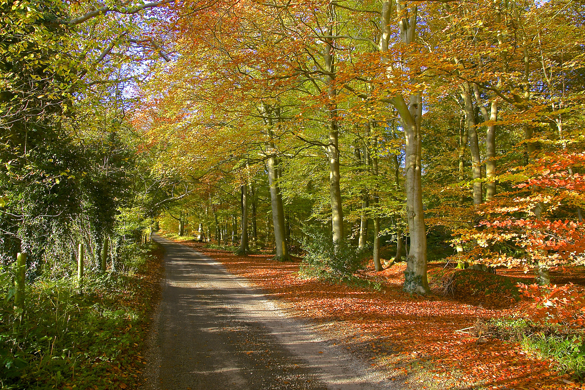 природа, дороги, тракт