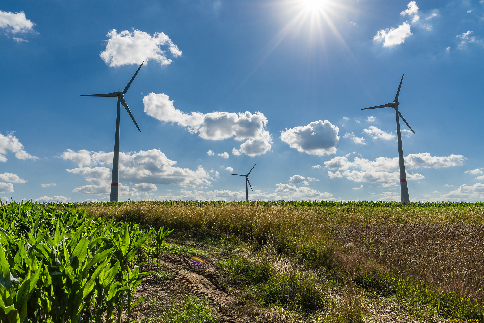 природа, дороги, тракт