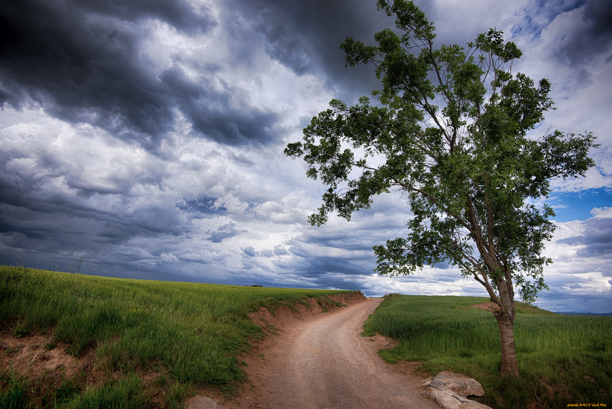 природа, дороги, тракт