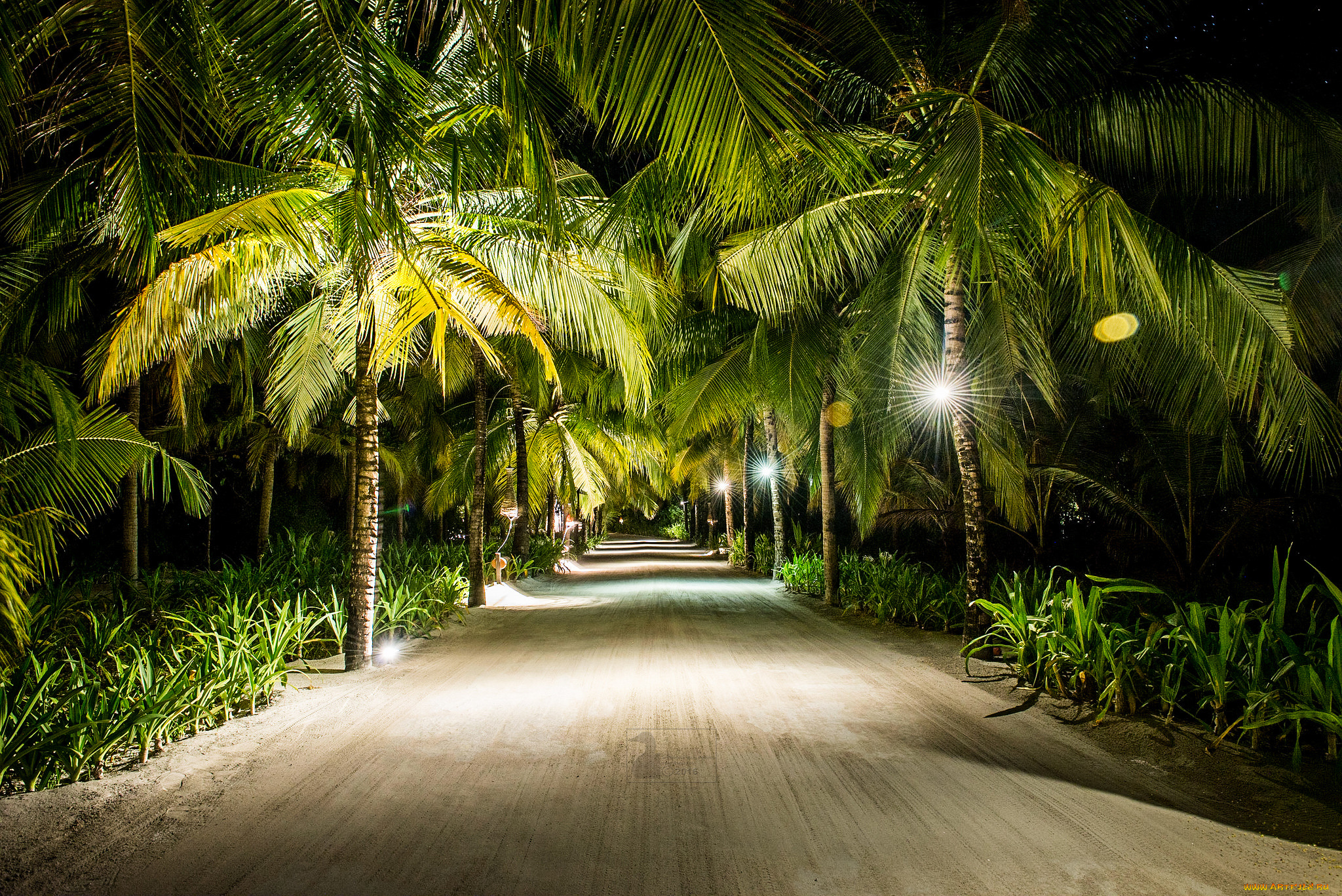 природа, дороги, тракт