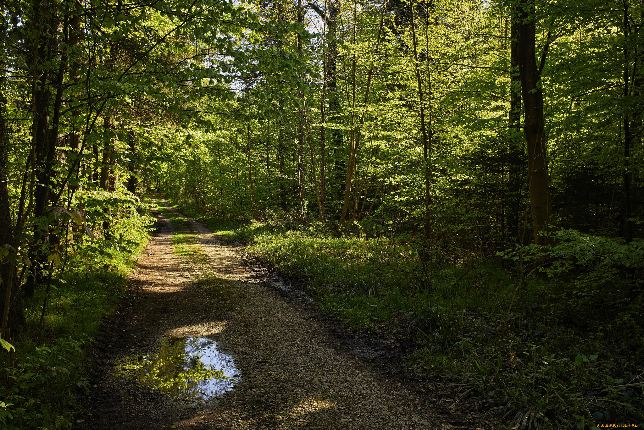 природа, дороги, тракт