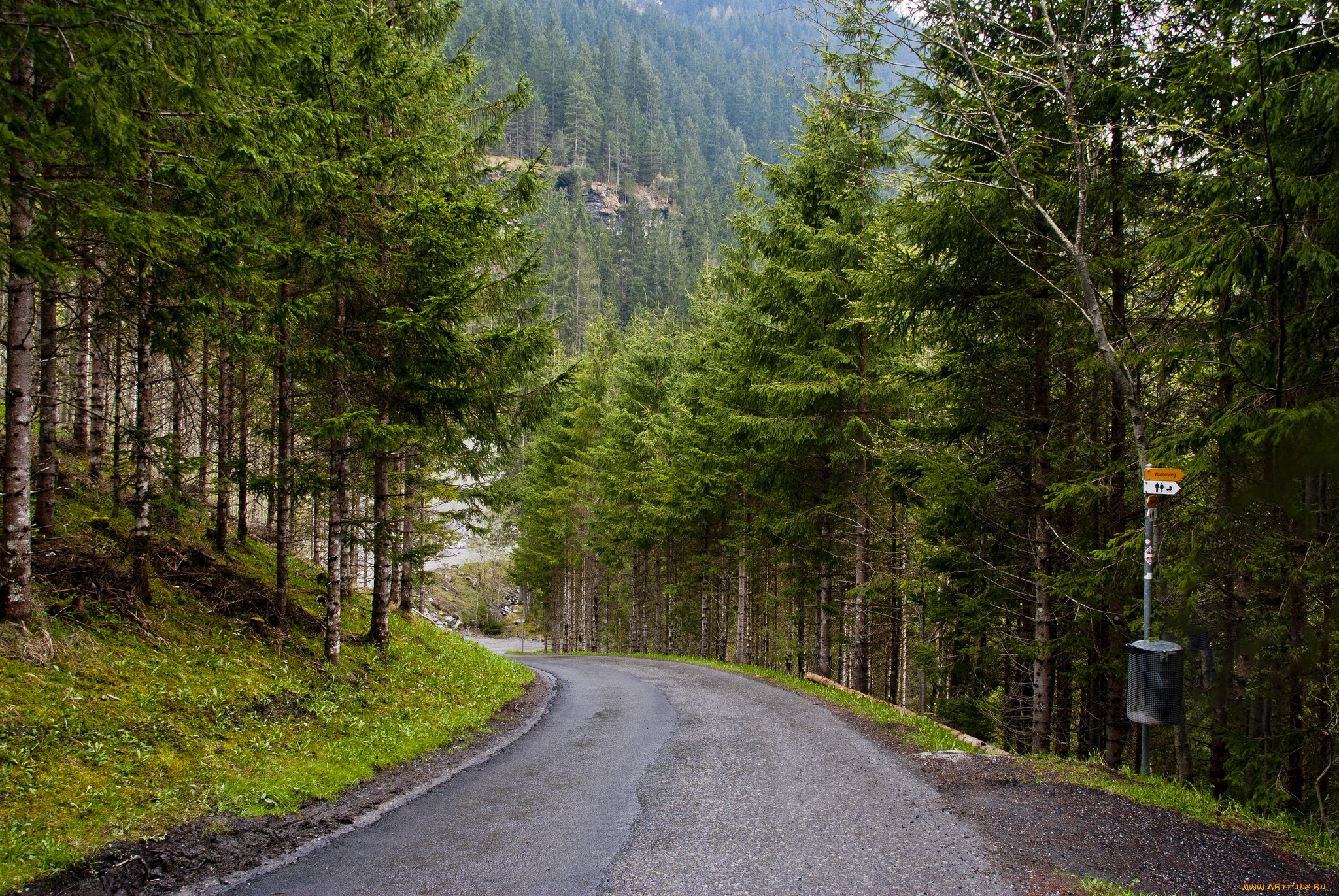 природа, дороги, тракт