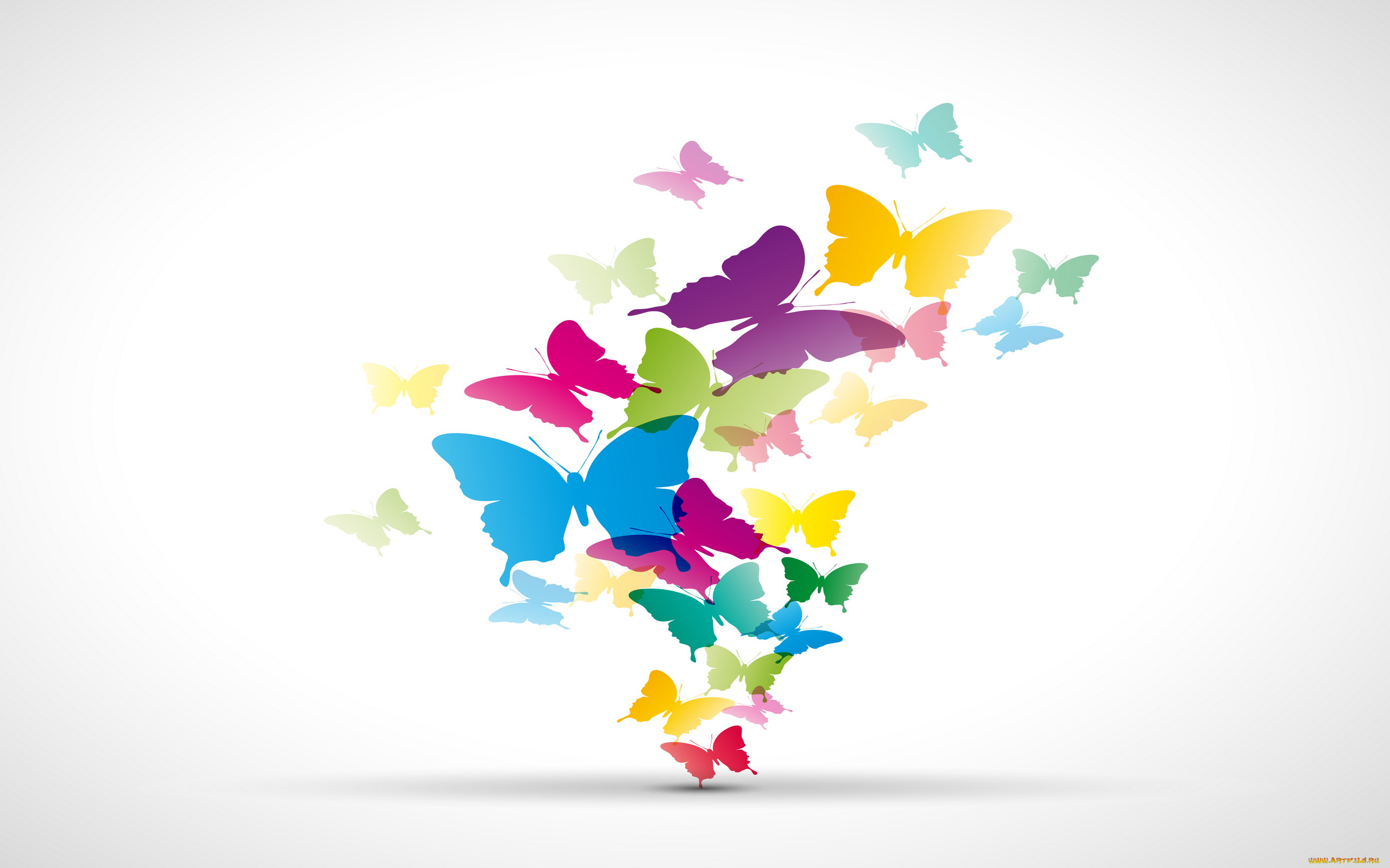 векторная, графика, животные, , animals, бабочки, фон