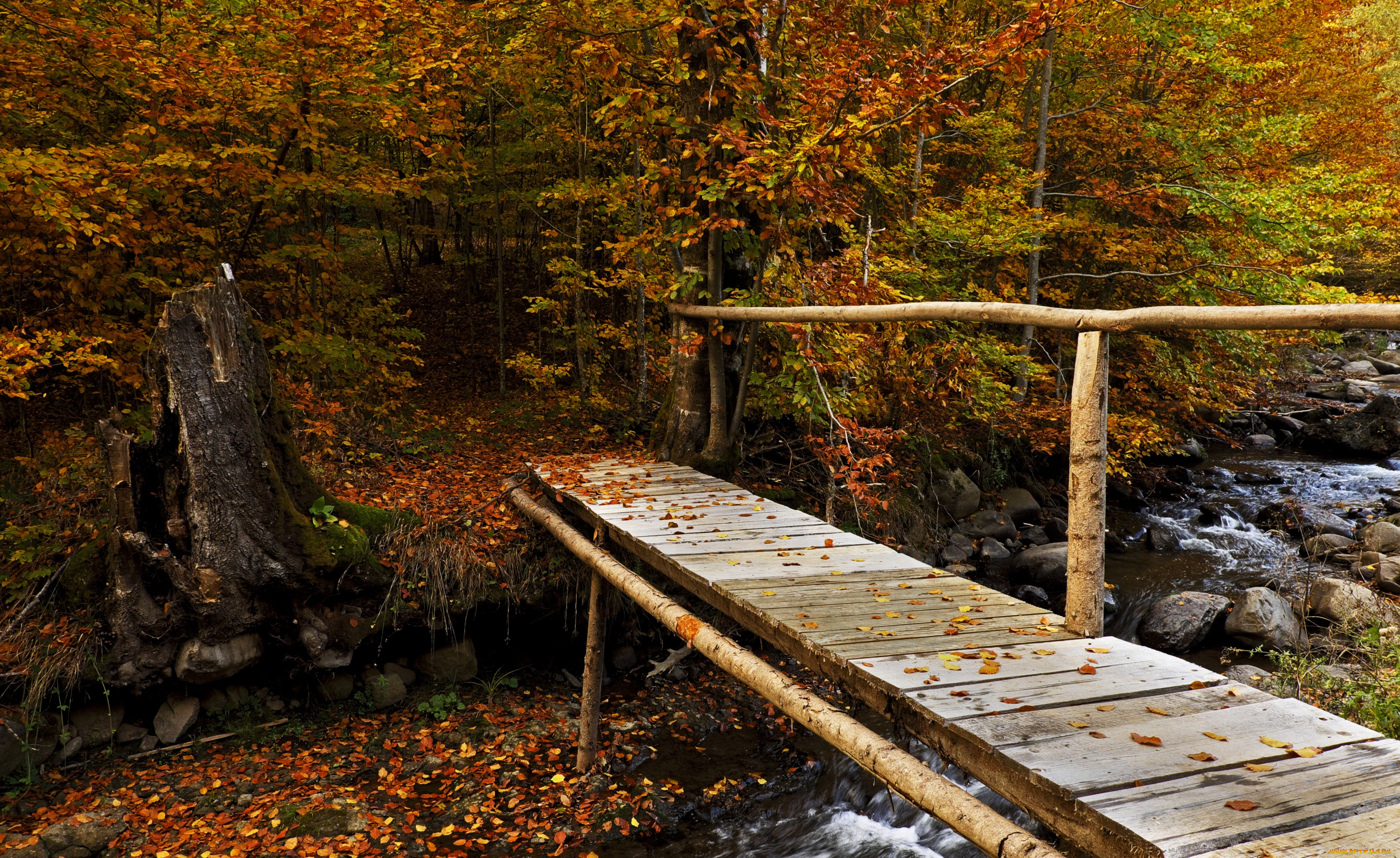 природа, дороги, тракт