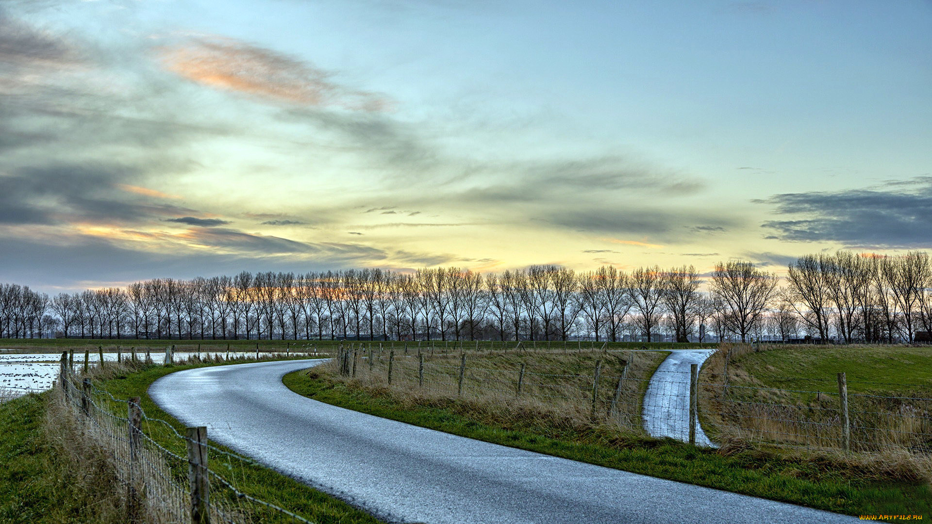 природа, дороги, дорога, деревья