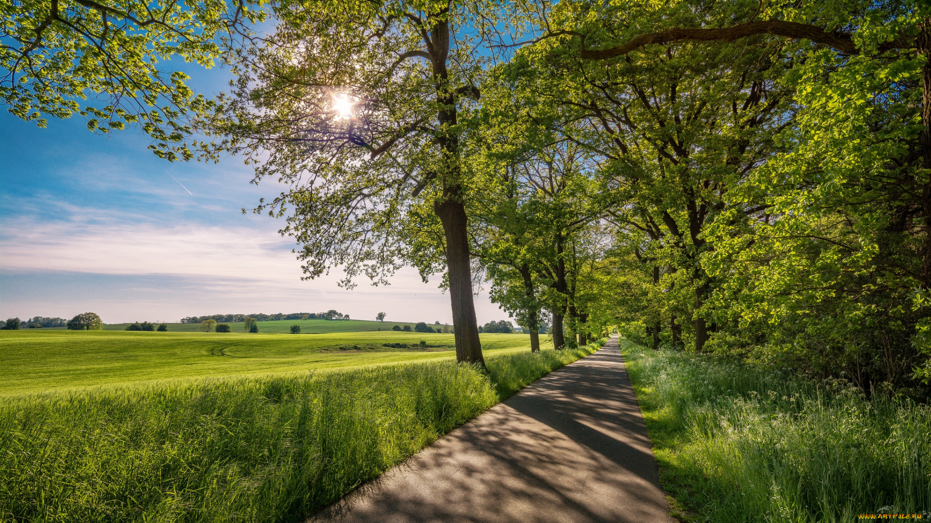 природа, дороги, тракт