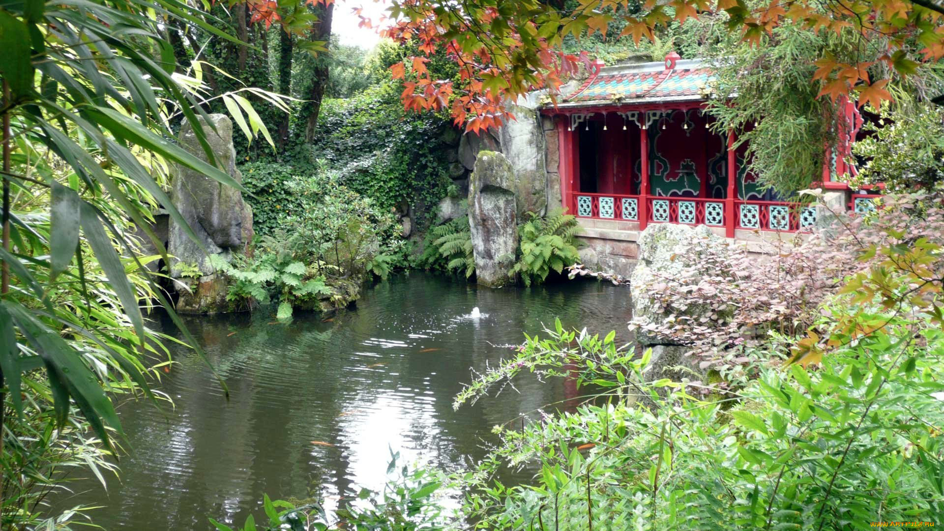 природа, парк, осень, водоем