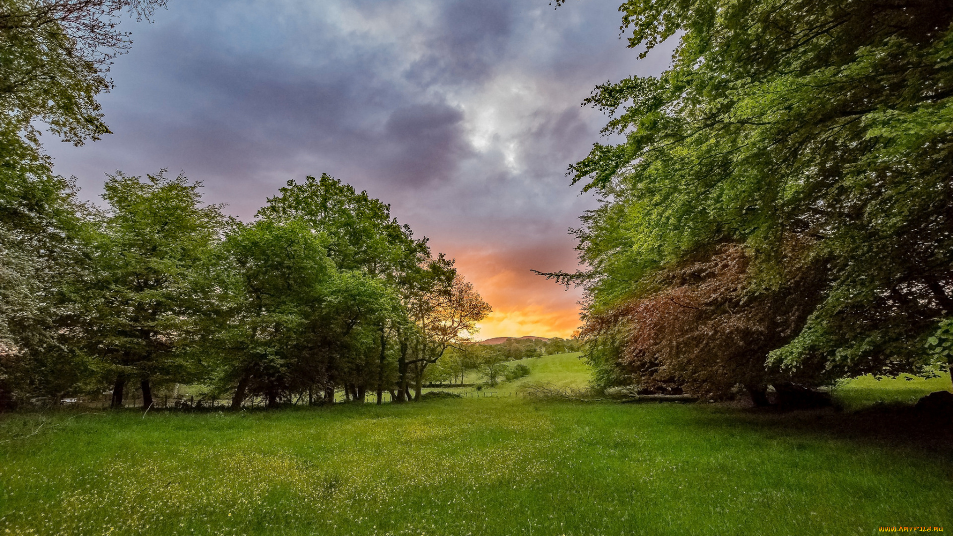 природа, пейзажи, простор