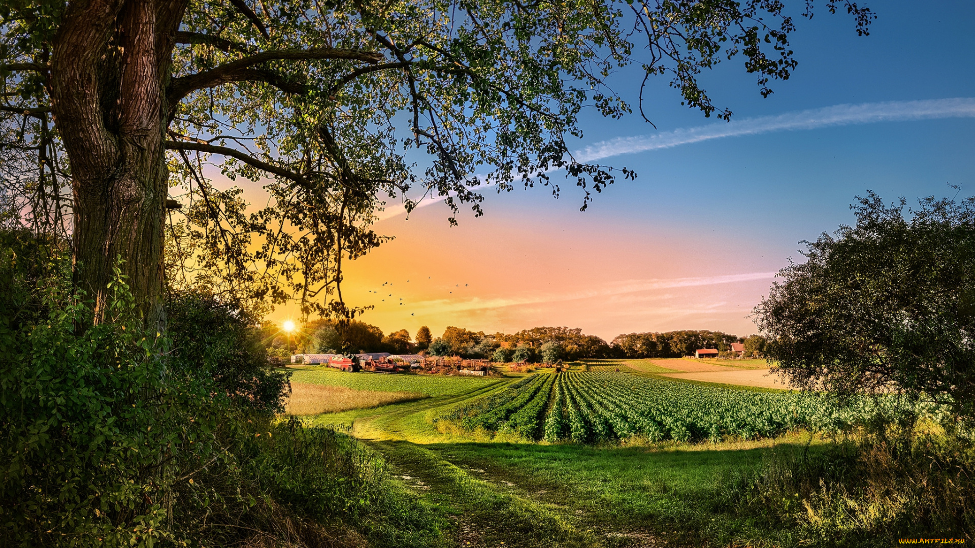 природа, пейзажи, рассвет