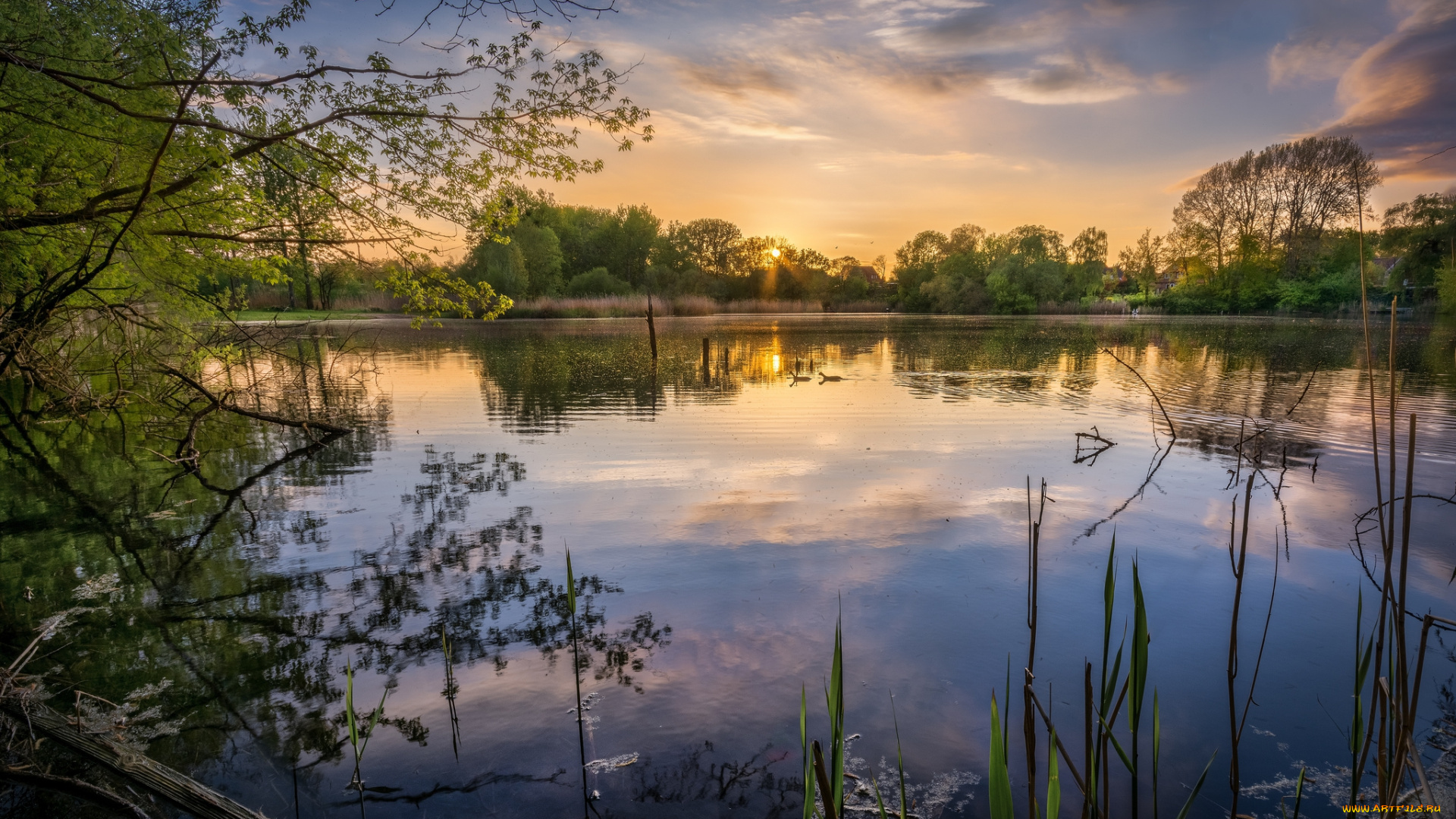 природа, реки, озера, лес, река