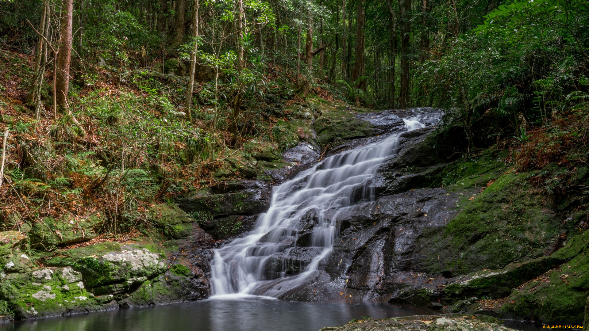 природа, водопады, лес, река, водопад