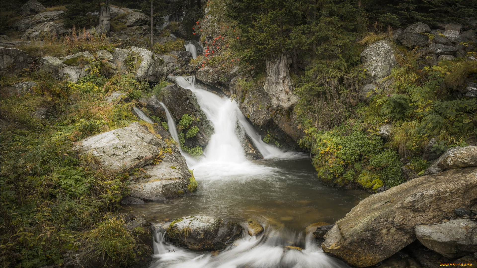 природа, водопады, лес, водопад, река
