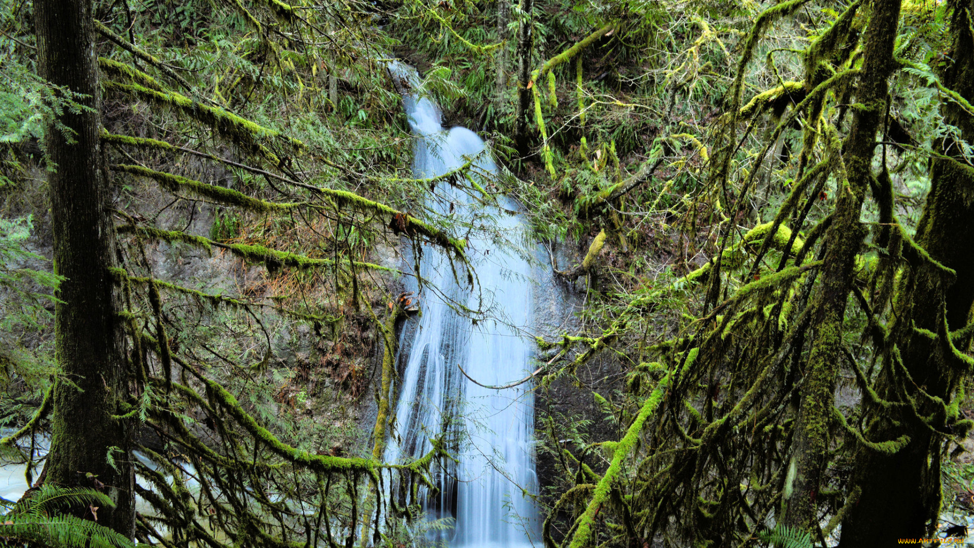 природа, водопады, река, водопад, лес