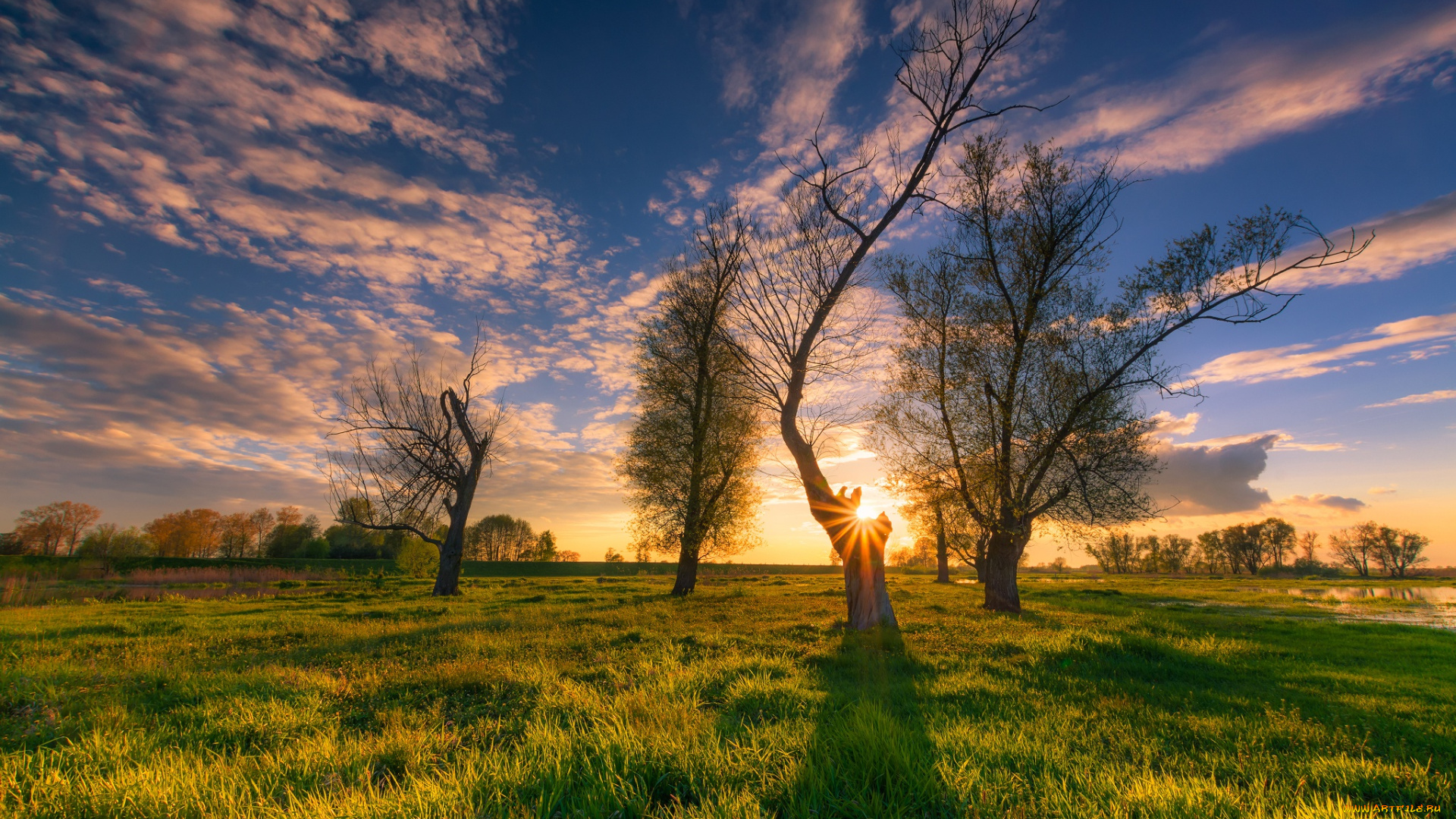 природа, восходы, закаты, облака, солнце, трава, деревья, небо