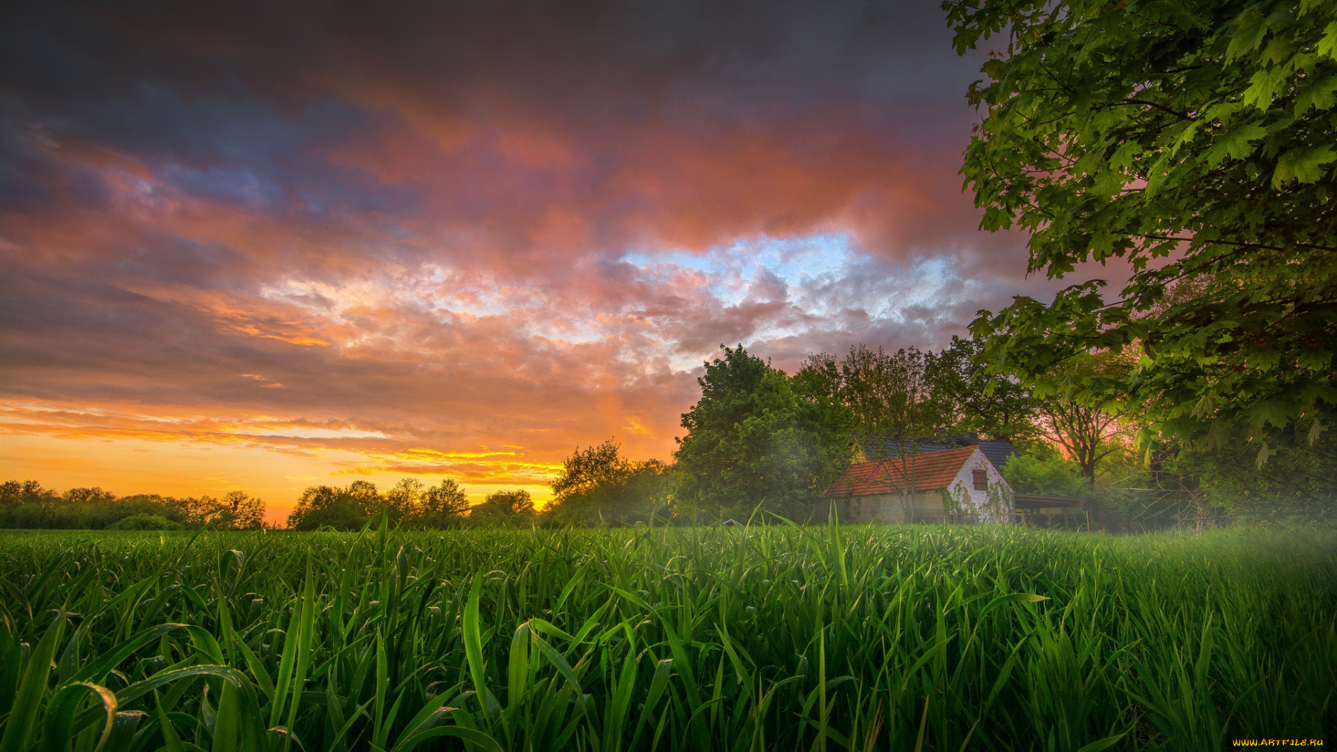 природа, восходы, закаты, рассвет