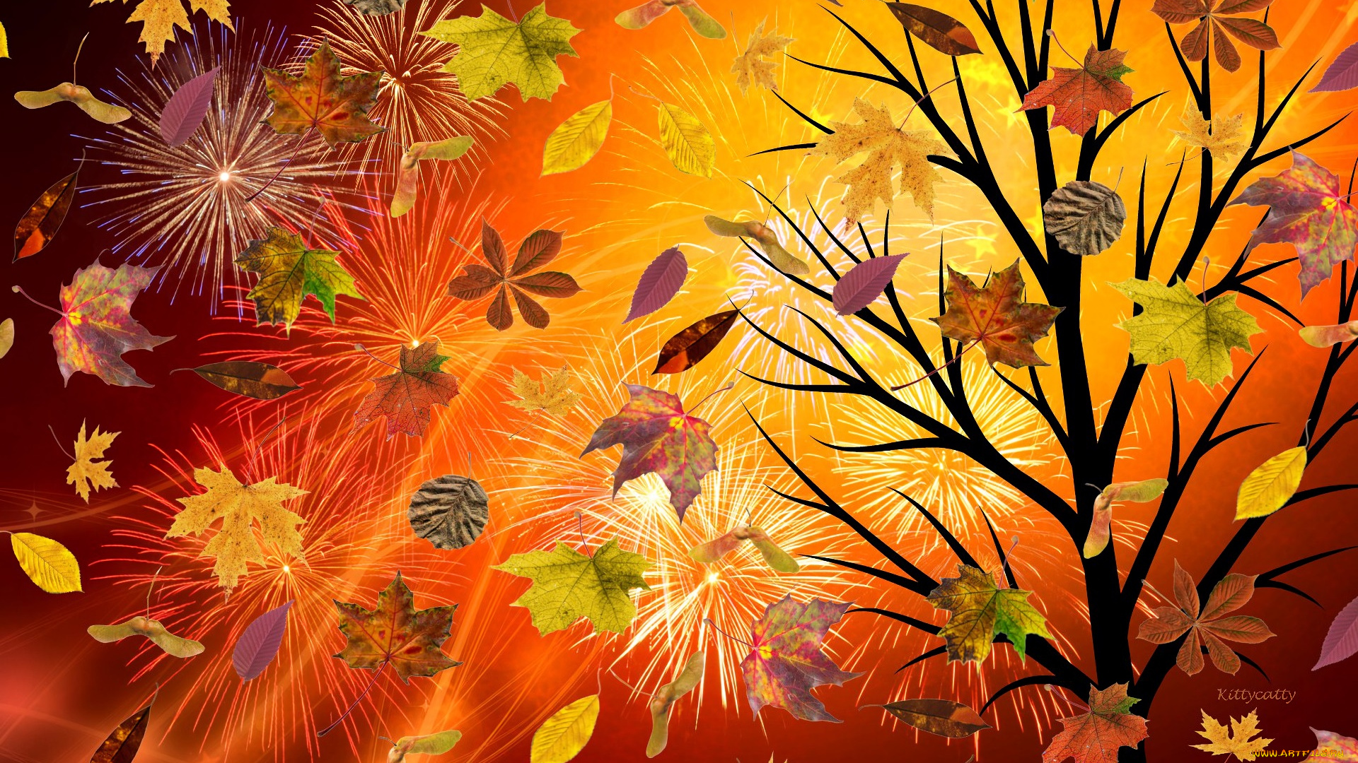 векторная, графика, природа, , nature, осень, салют, деревья, фон, листья